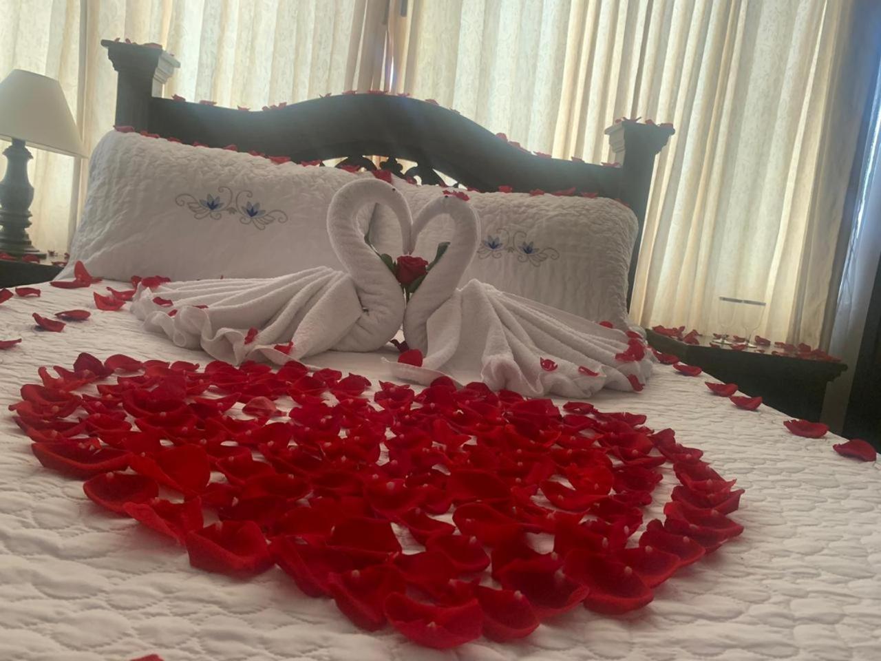 Deluxe Room photo 2