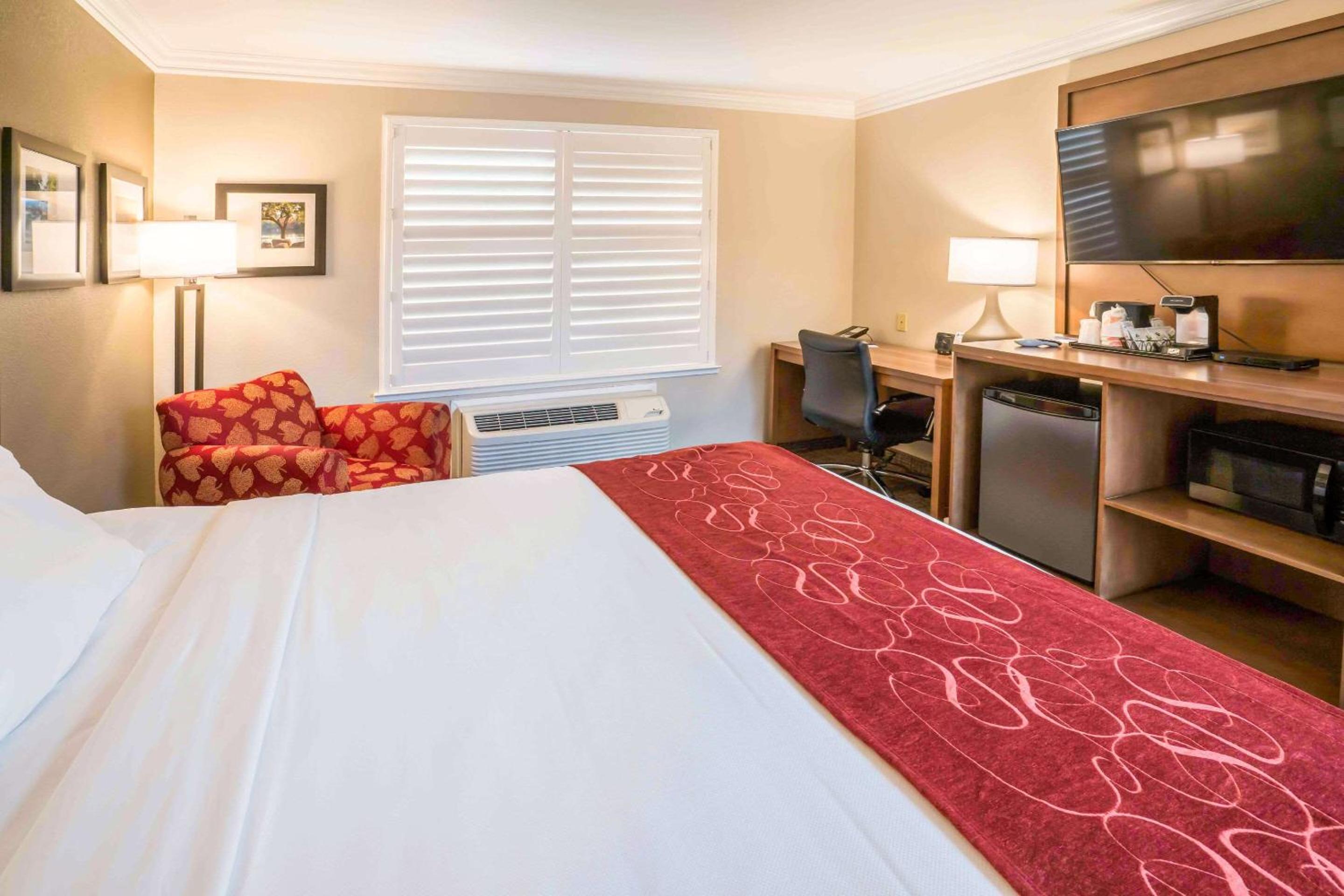 King Room - Non-Smoking - Photo 3