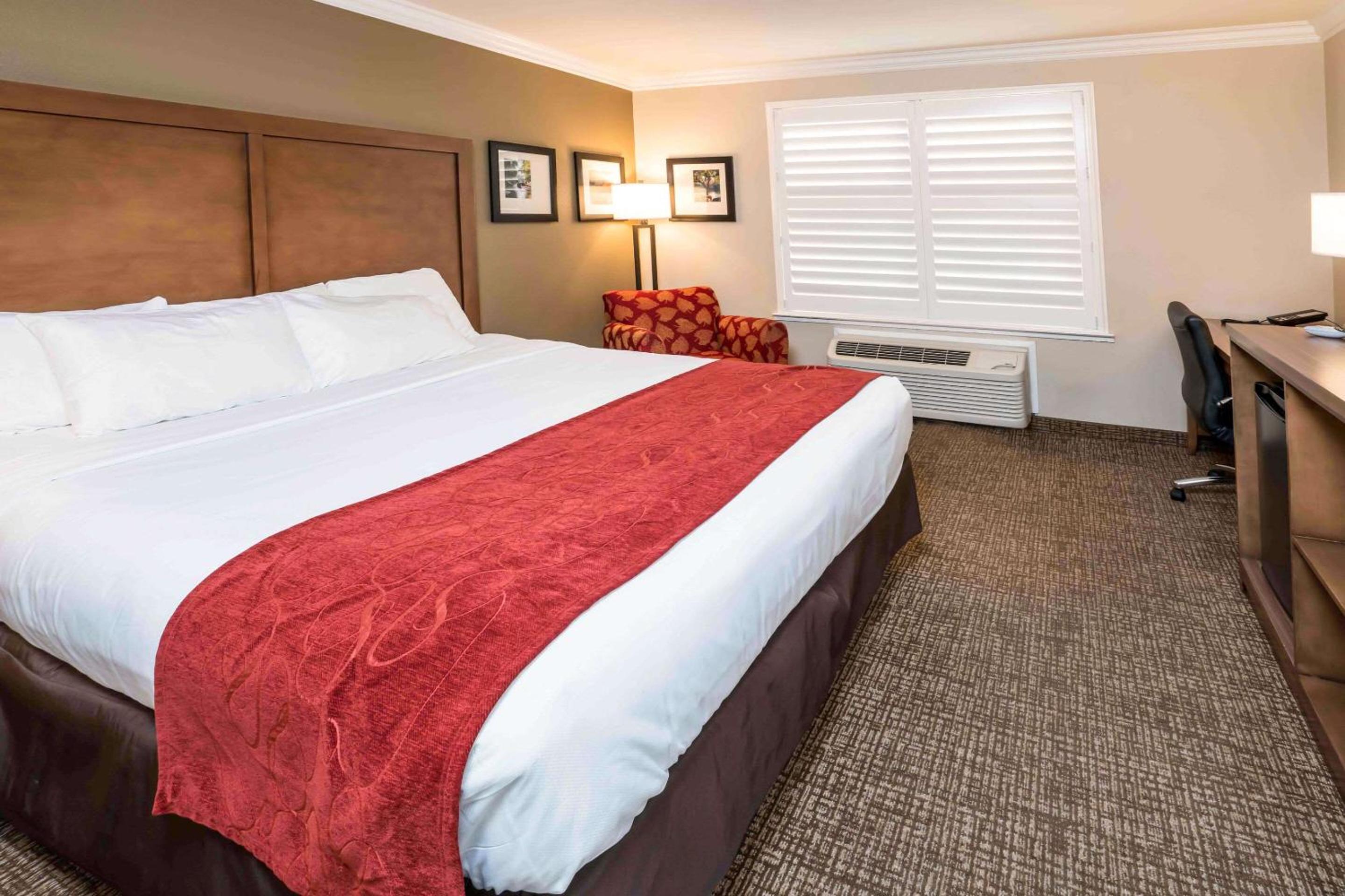 King Room - Non-Smoking - Photo 1