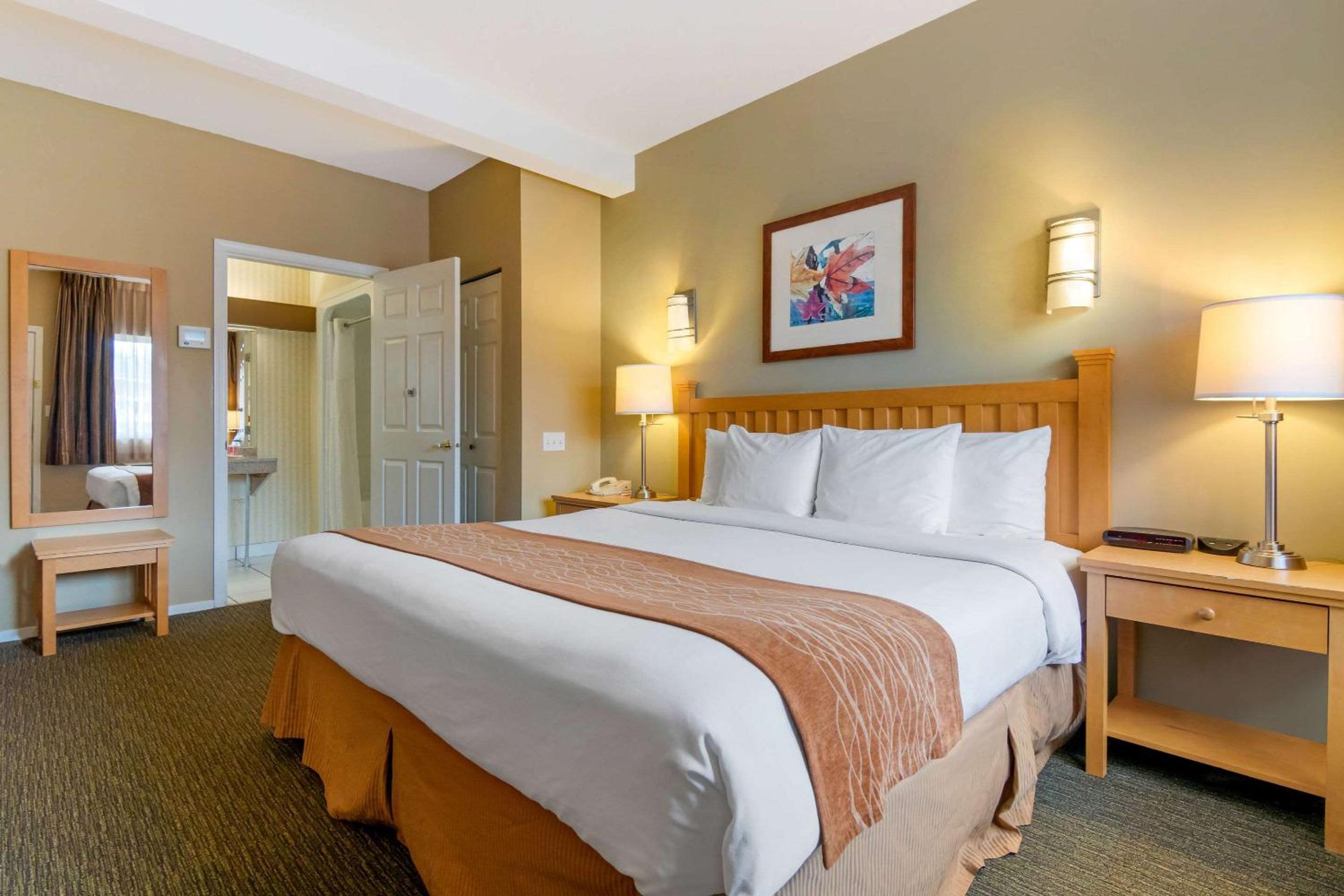 Deluxe King Room - Non-Smoking - Photo 4
