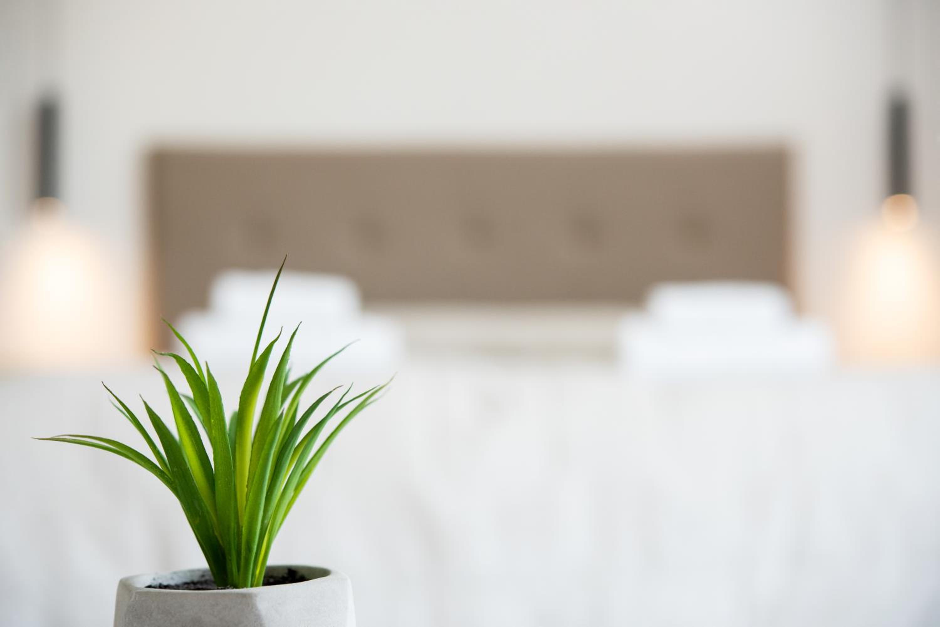 Junior Suite with Garden View - Photo 3
