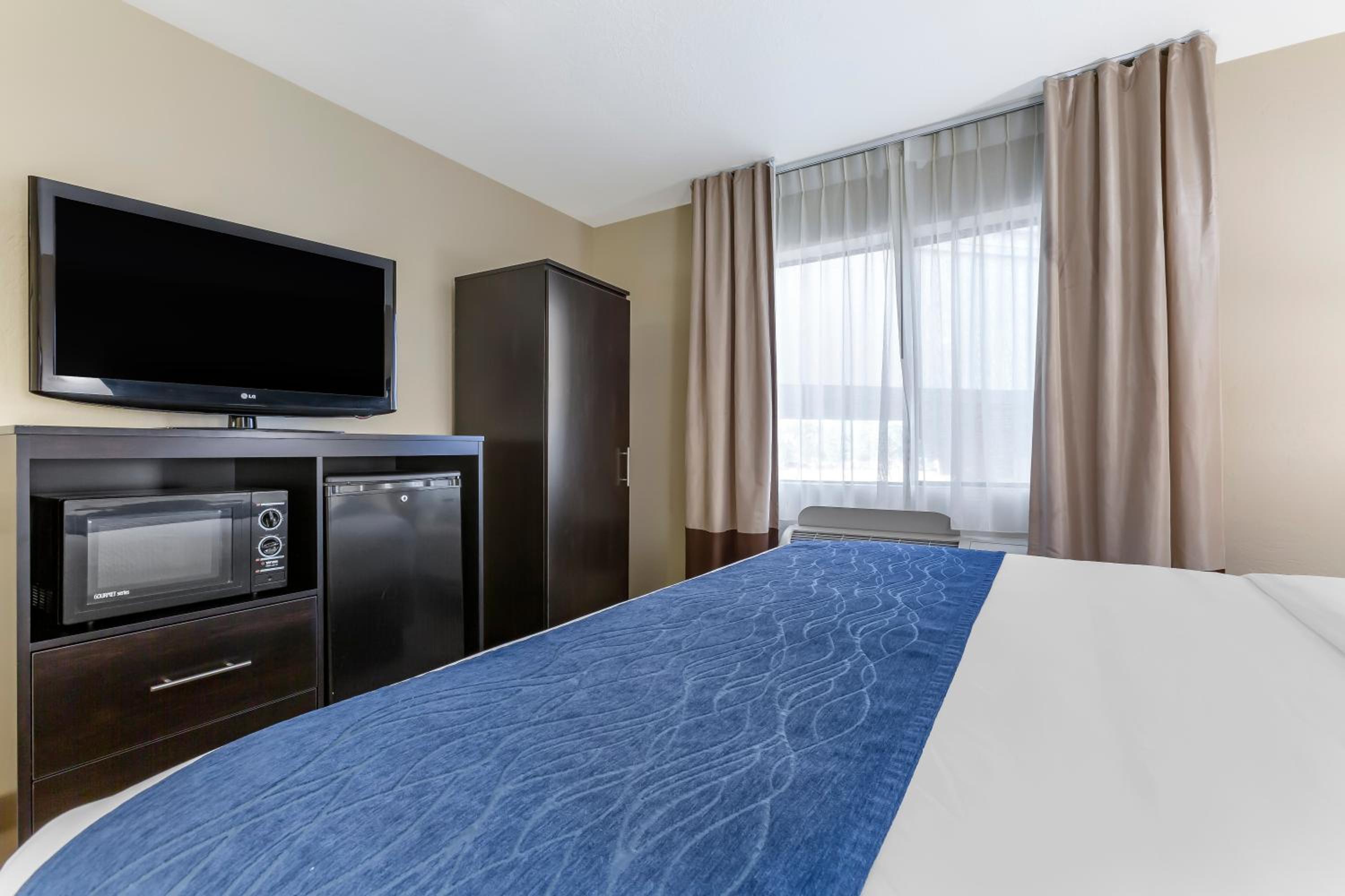 Standard King Room with Roll-in Shower - Accessible/Non-Smoking - Photo 2