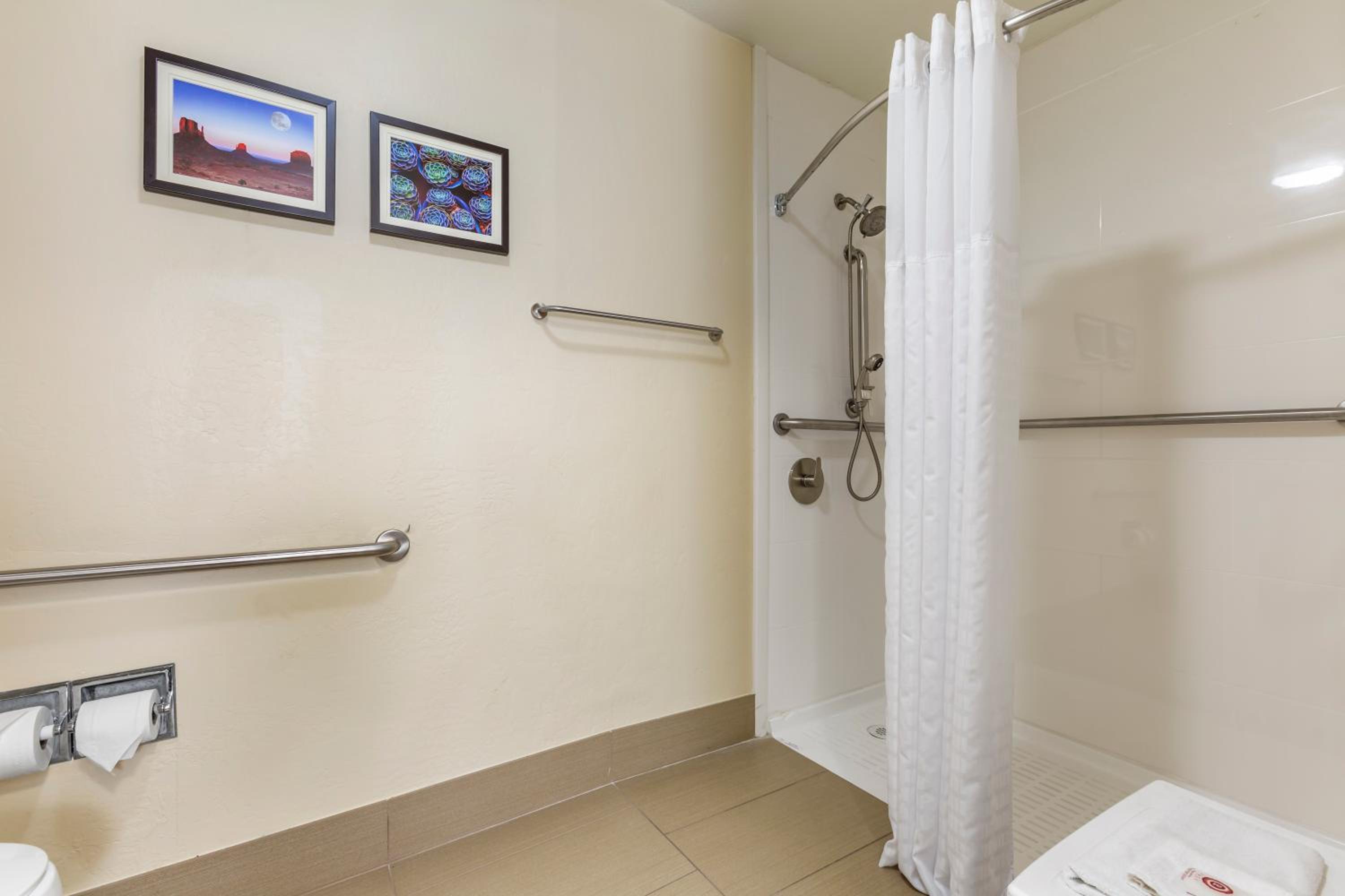 Standard King Room with Roll-in Shower - Accessible/Non-Smoking - Photo 5
