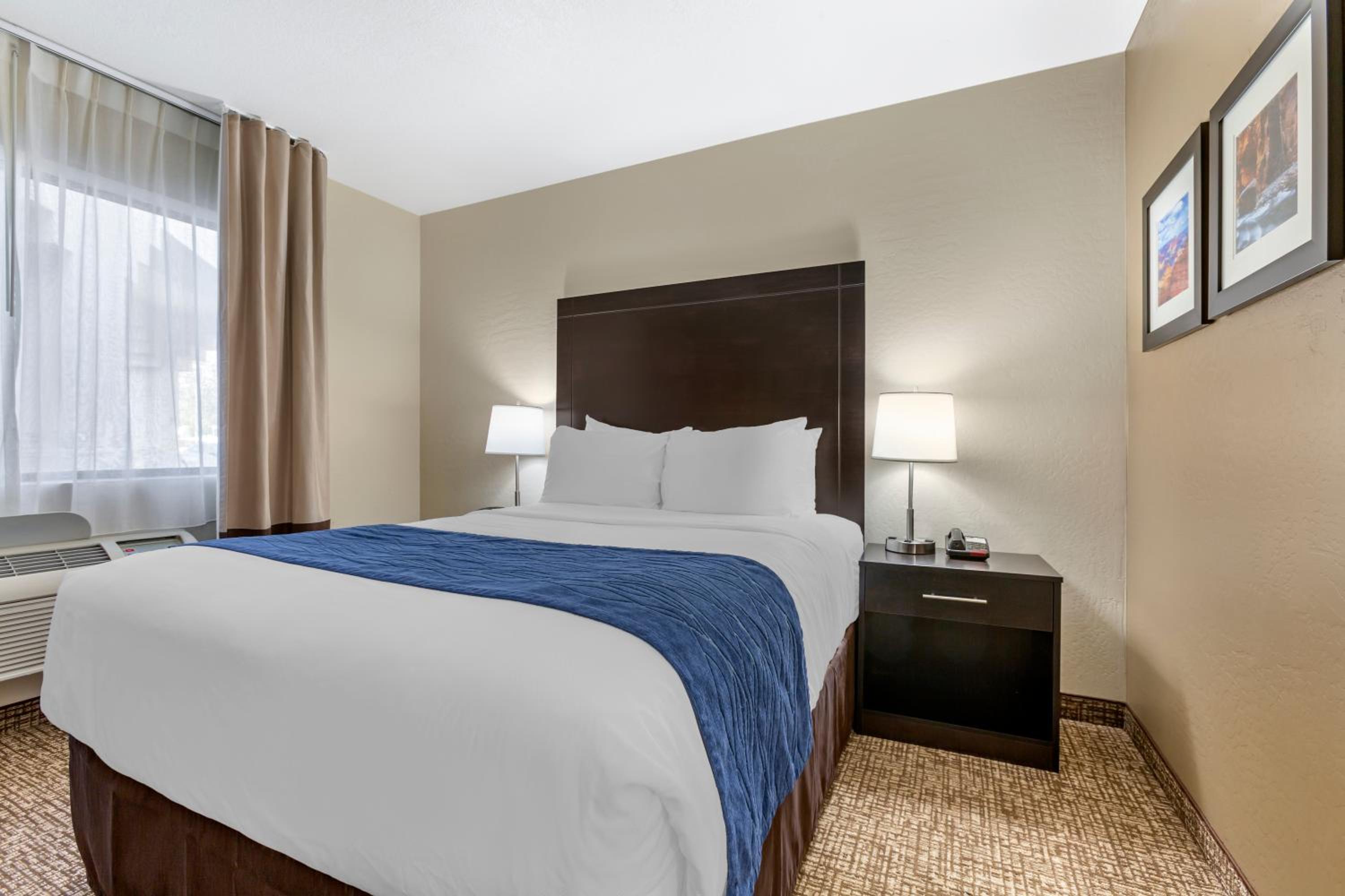Standard Queen Room with Roll-In Shower - Accessible/Non-Smoking - Photo 2