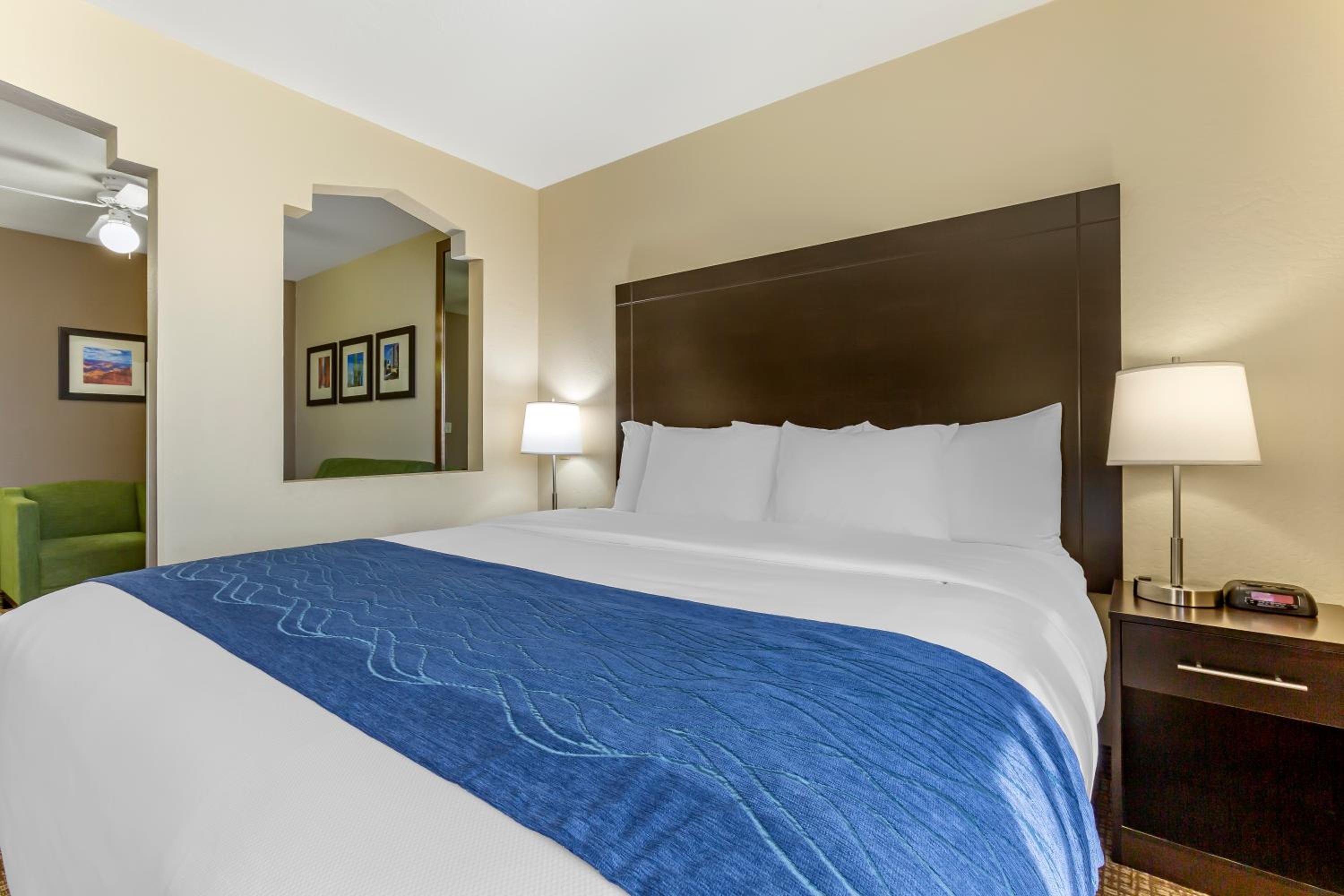 Deluxe King Suite with Sitting Area - Non-Smoking - Photo 5