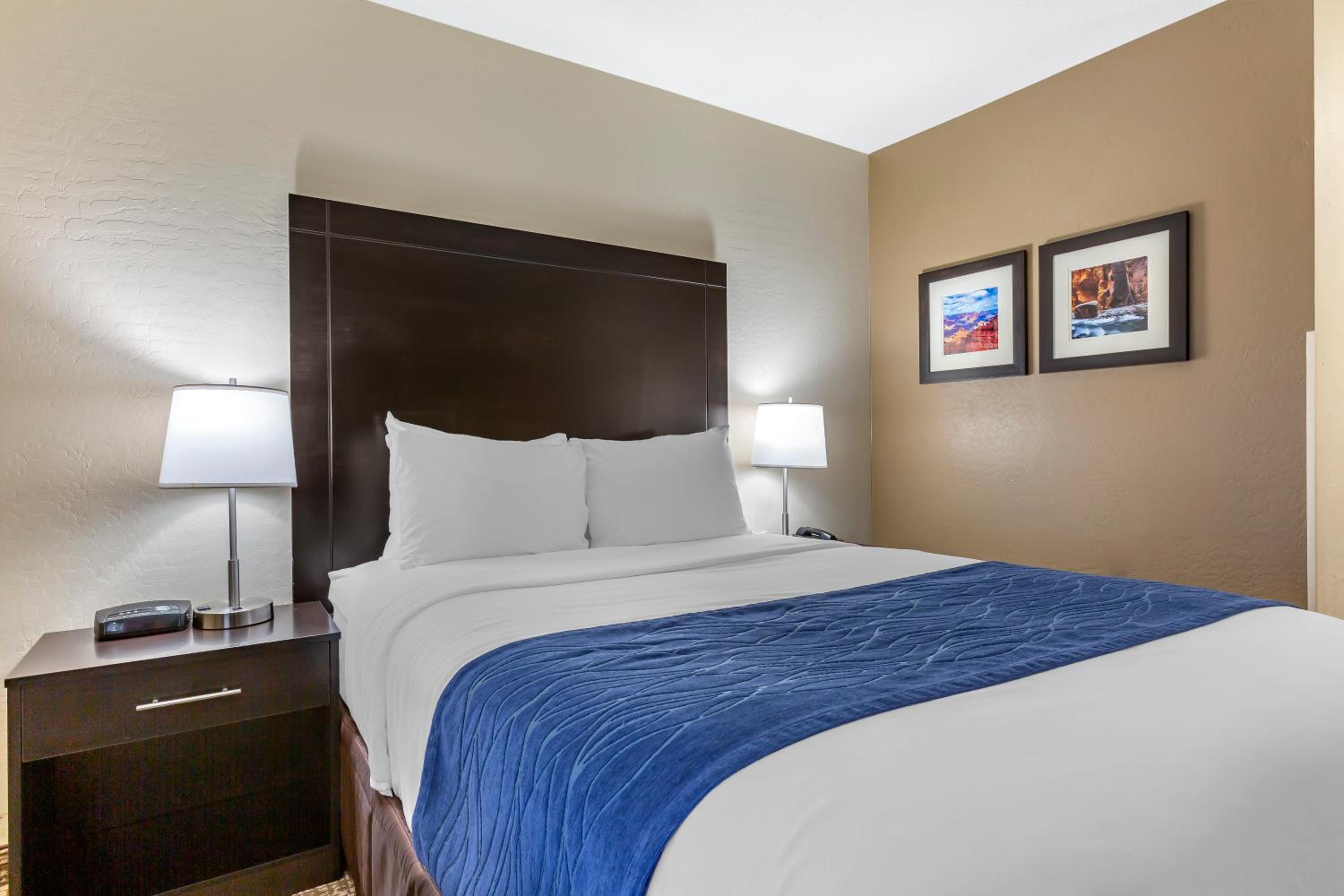 Standard Queen Room with Roll-In Shower - Accessible/Non-Smoking - Photo 4
