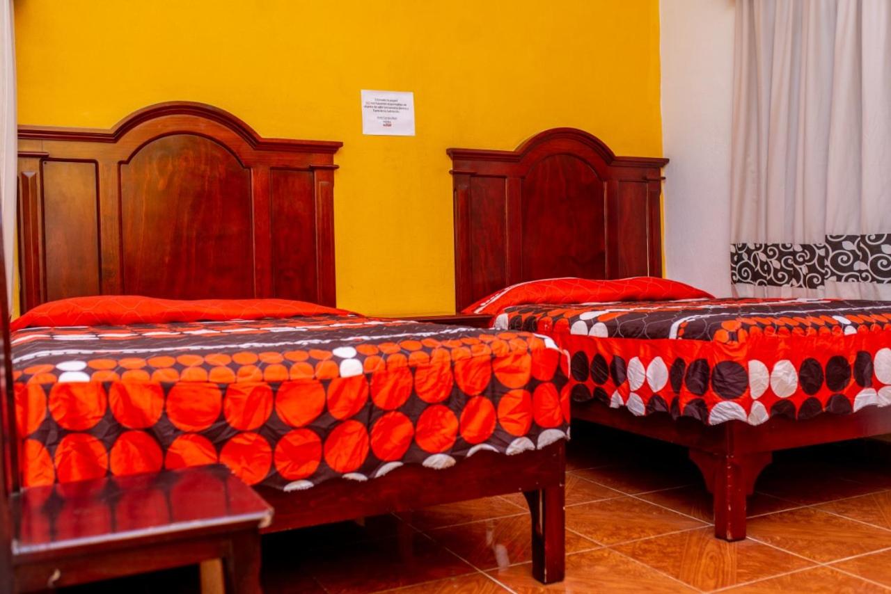Twin Room - Photo 16