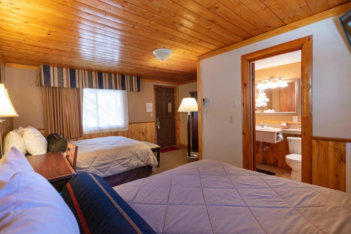 Queen Room with Two Queen Beds photo 2
