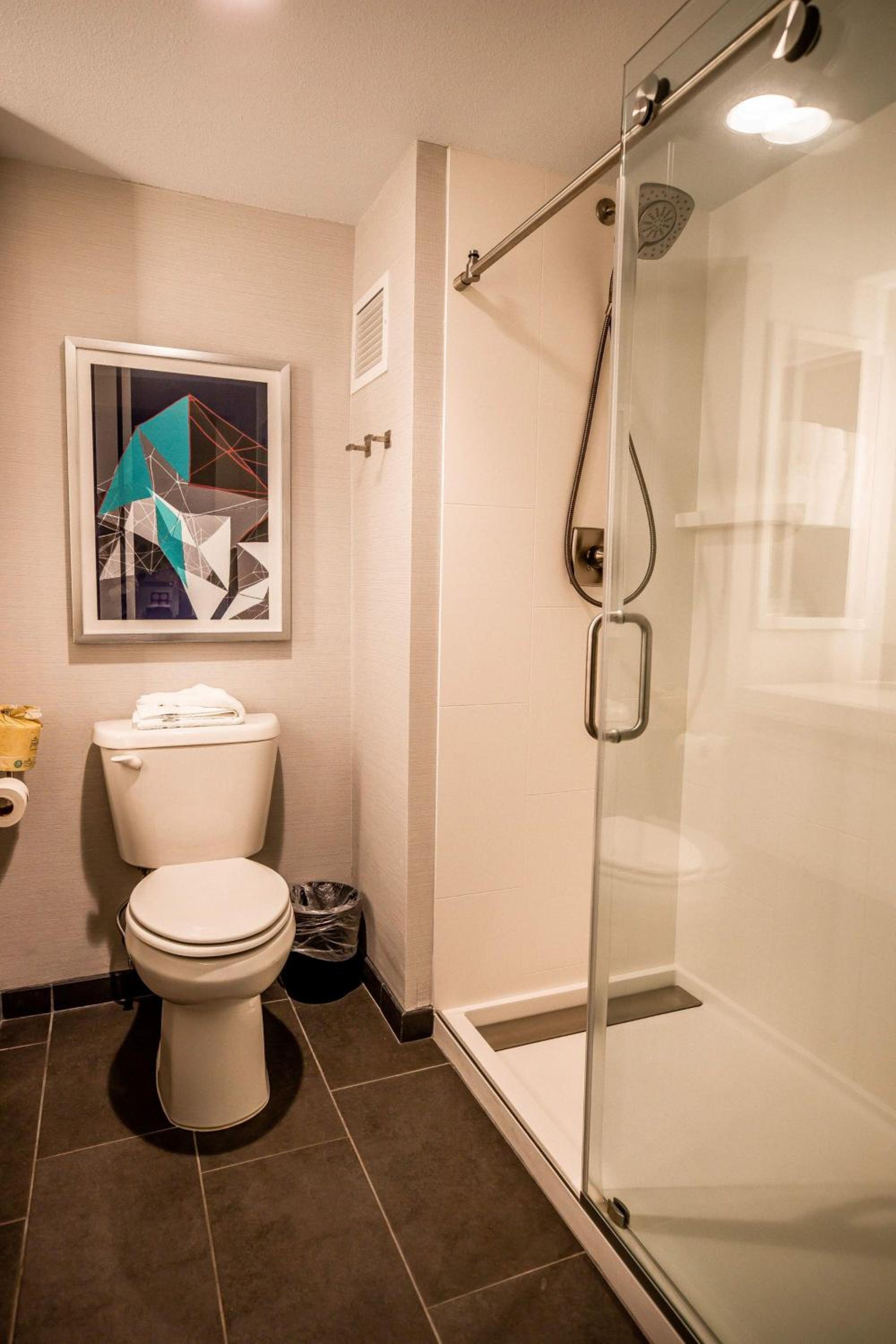 Standard King Room with Walk In Shower and City View - Photo 10