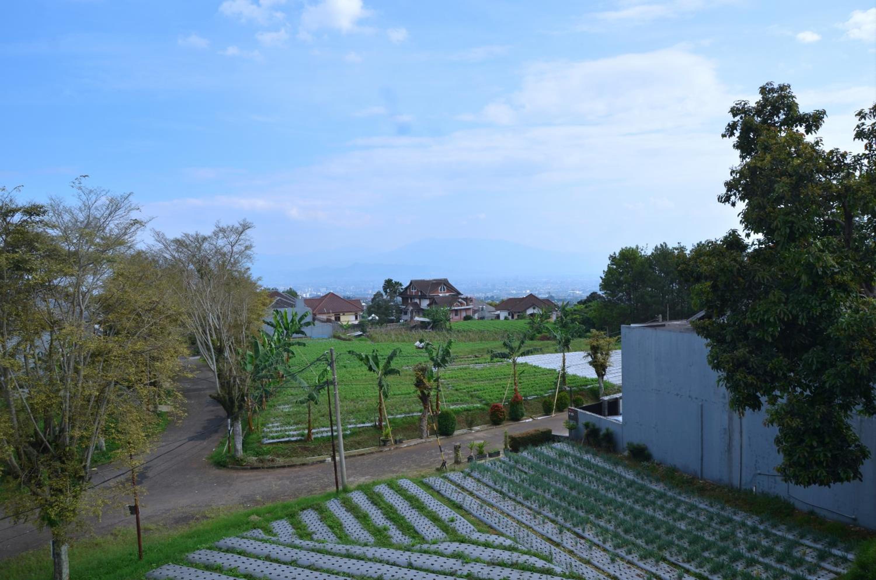 Villa - Photo 19