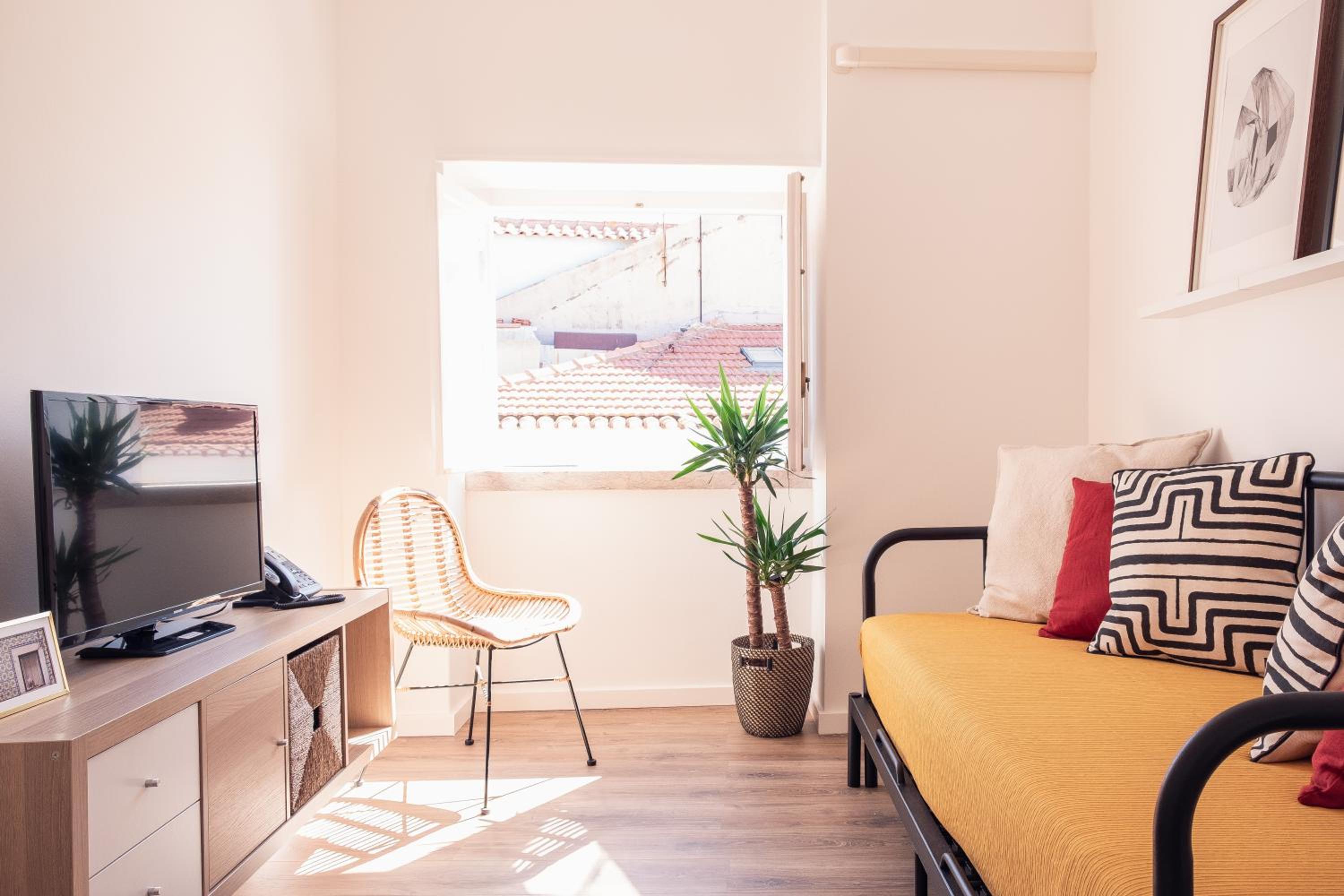 One-Bedroom Apartment photo 3