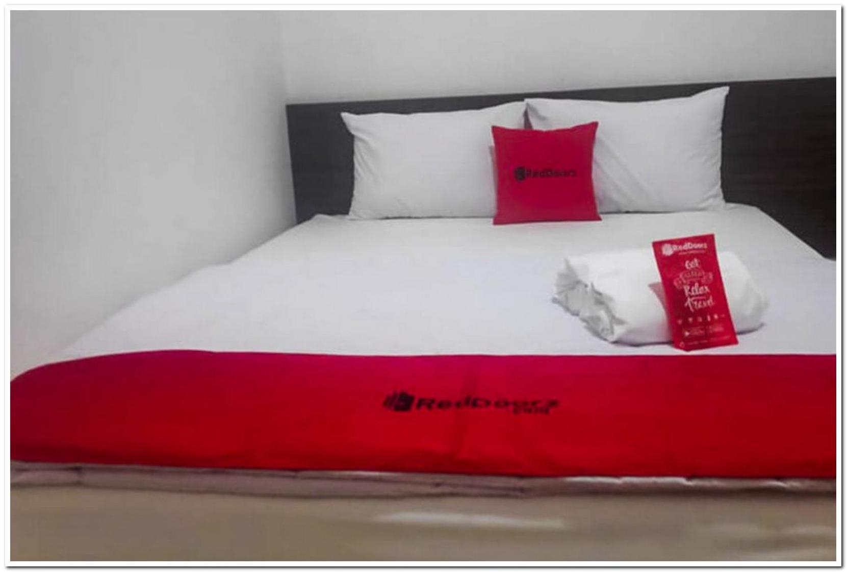 Standard Double Room - Photo 2