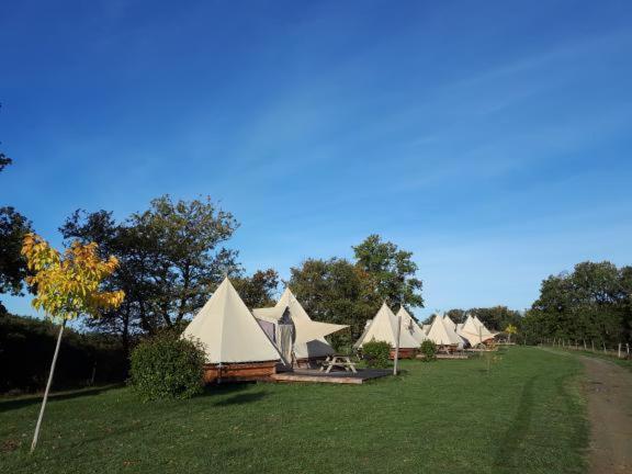 Teepee Prestige - Photo 3