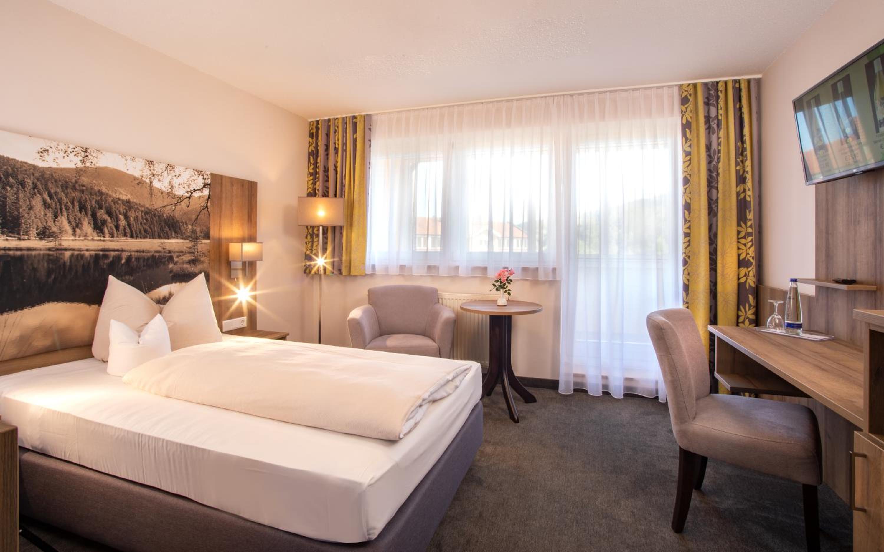 Deluxe Single Room photo 1