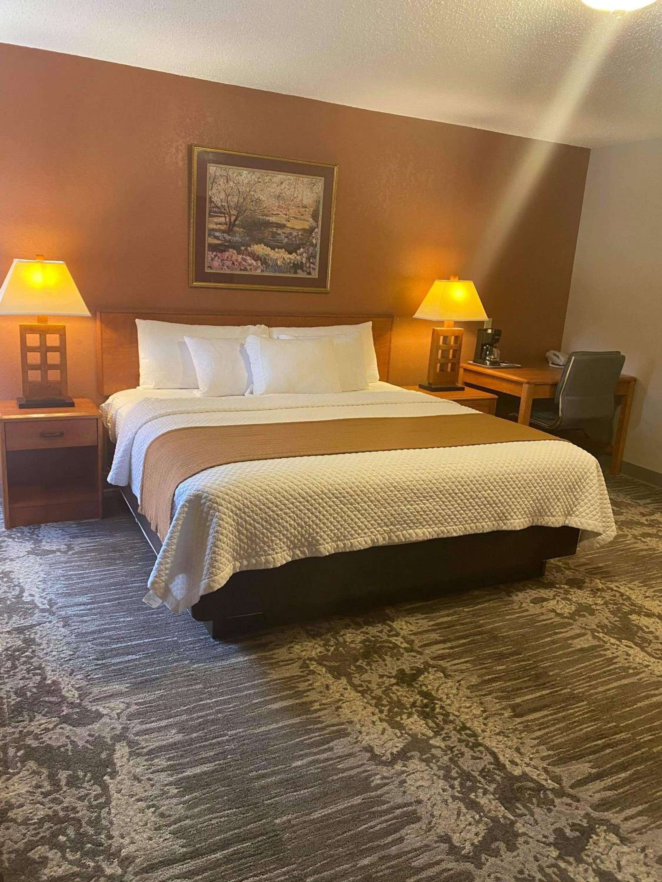 Deluxe King Suite photo 3