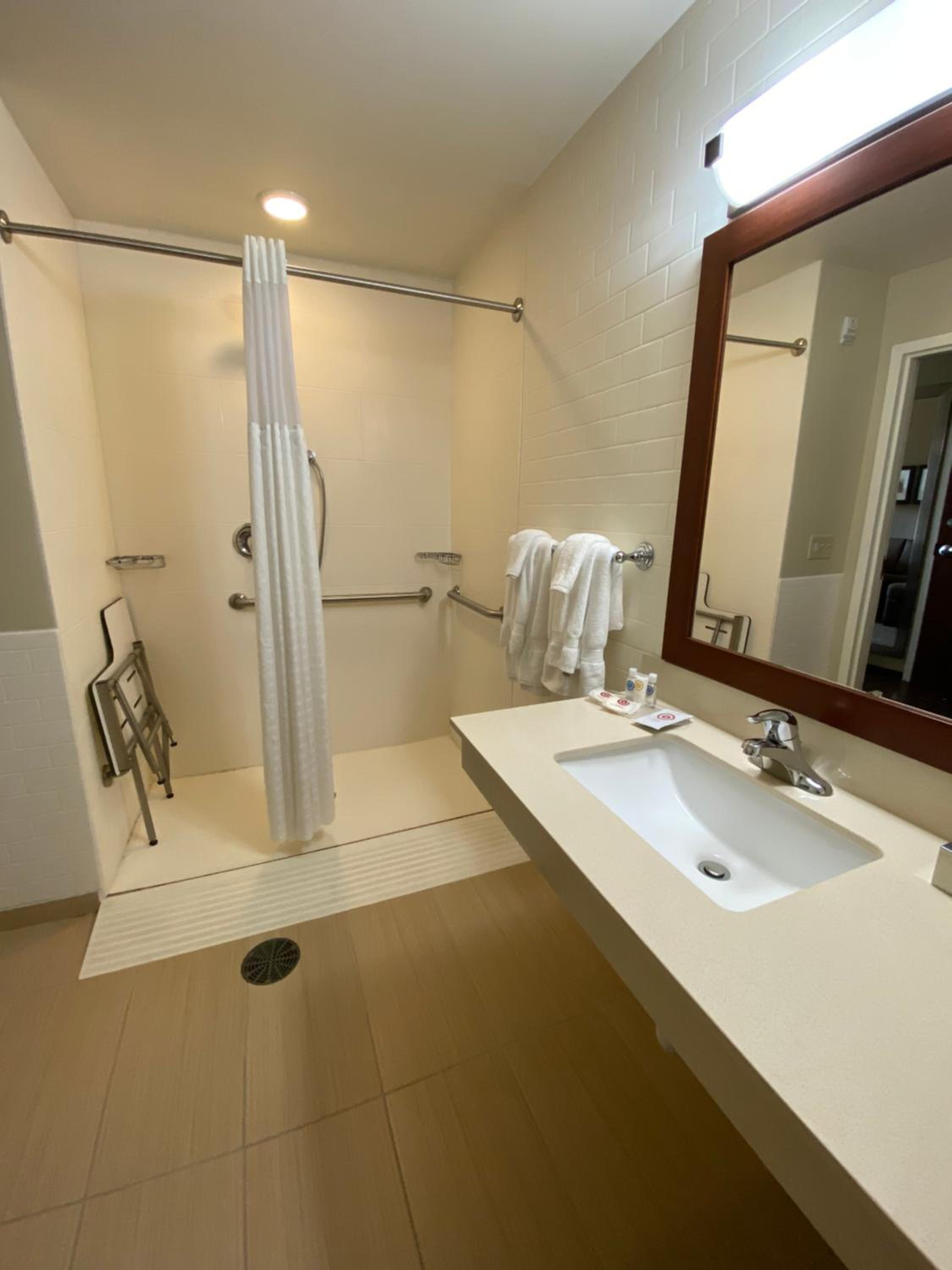 King Suite with Roll-in-Shower - Accessible/Non-Smoking