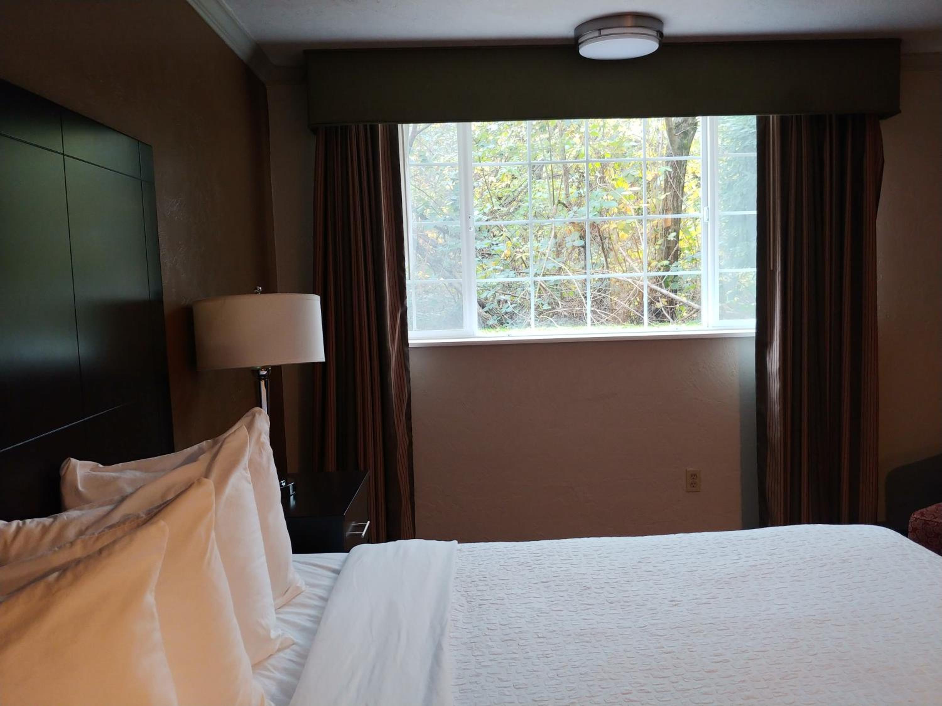 King Room - Non-Smoking - Photo 4