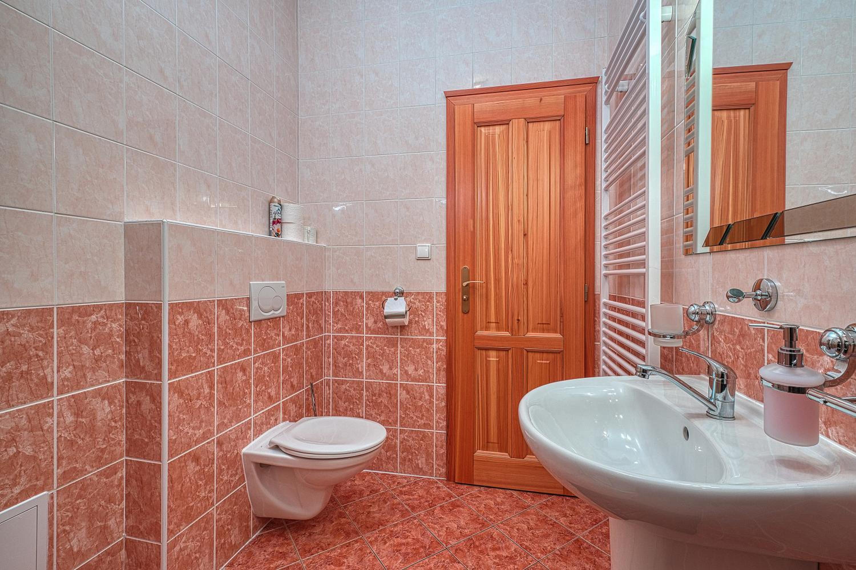 One-Bedroom Apartment No. 1 photo 3