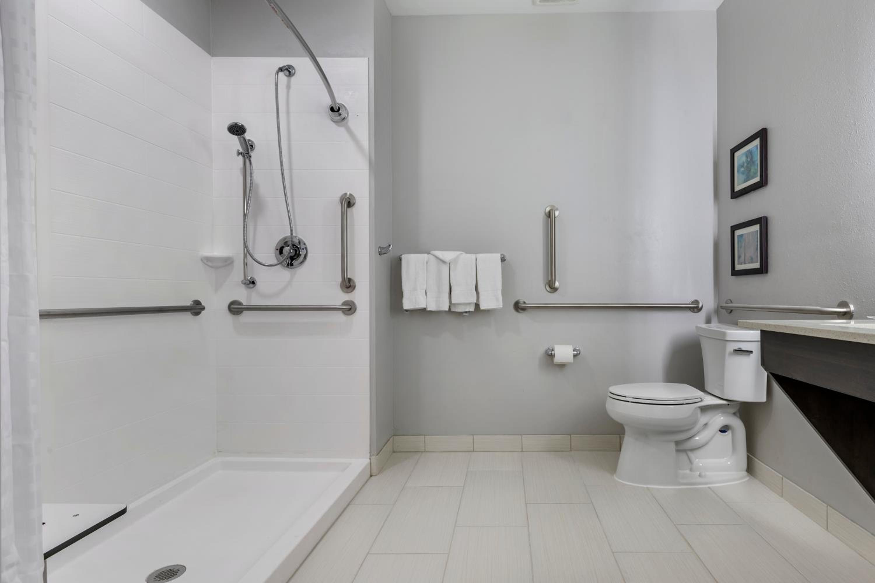 King Suite with Roll-In Shower - Accessible/Non-Smoking - Photo 3