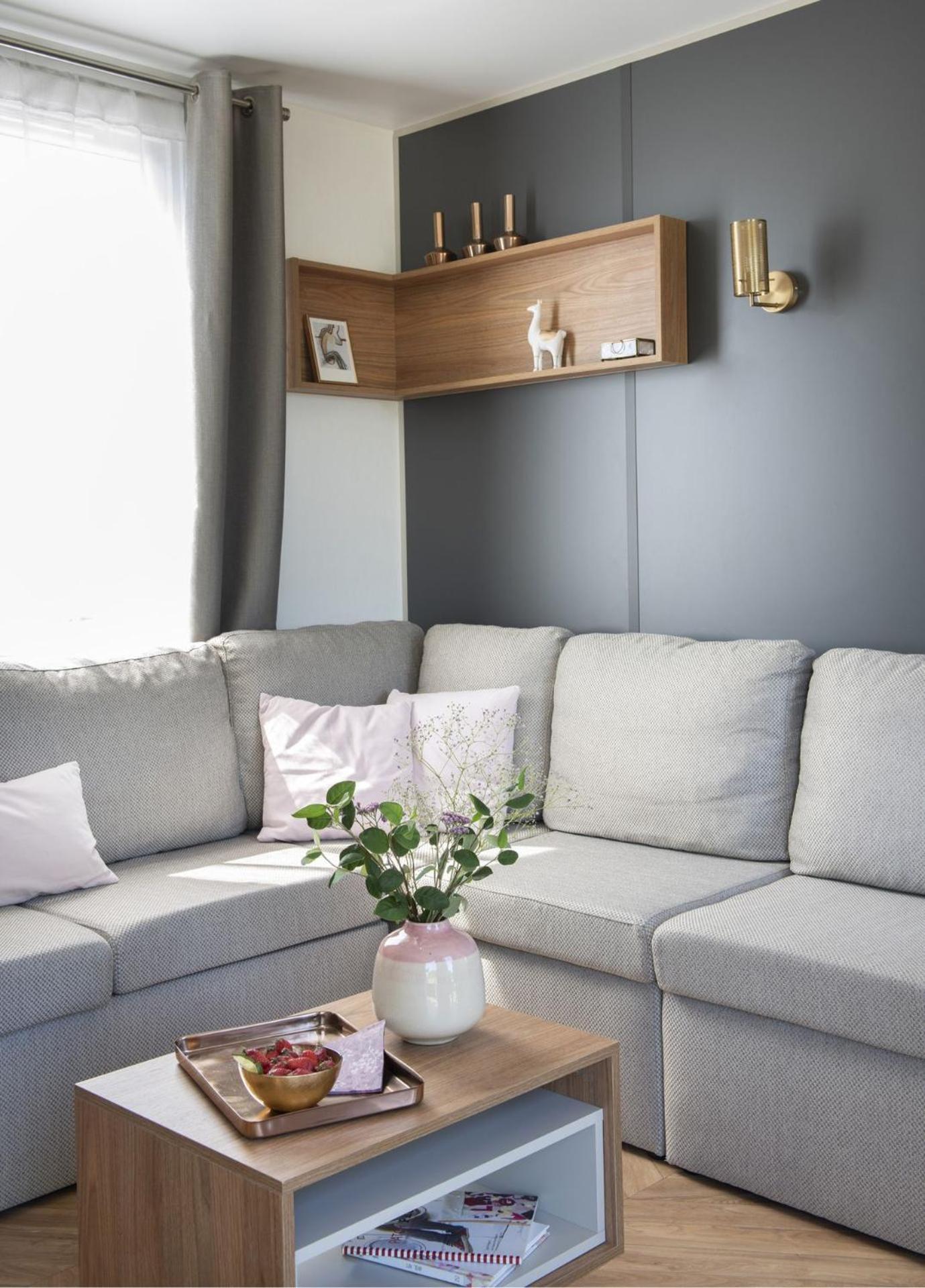 Mobile Home photo 1