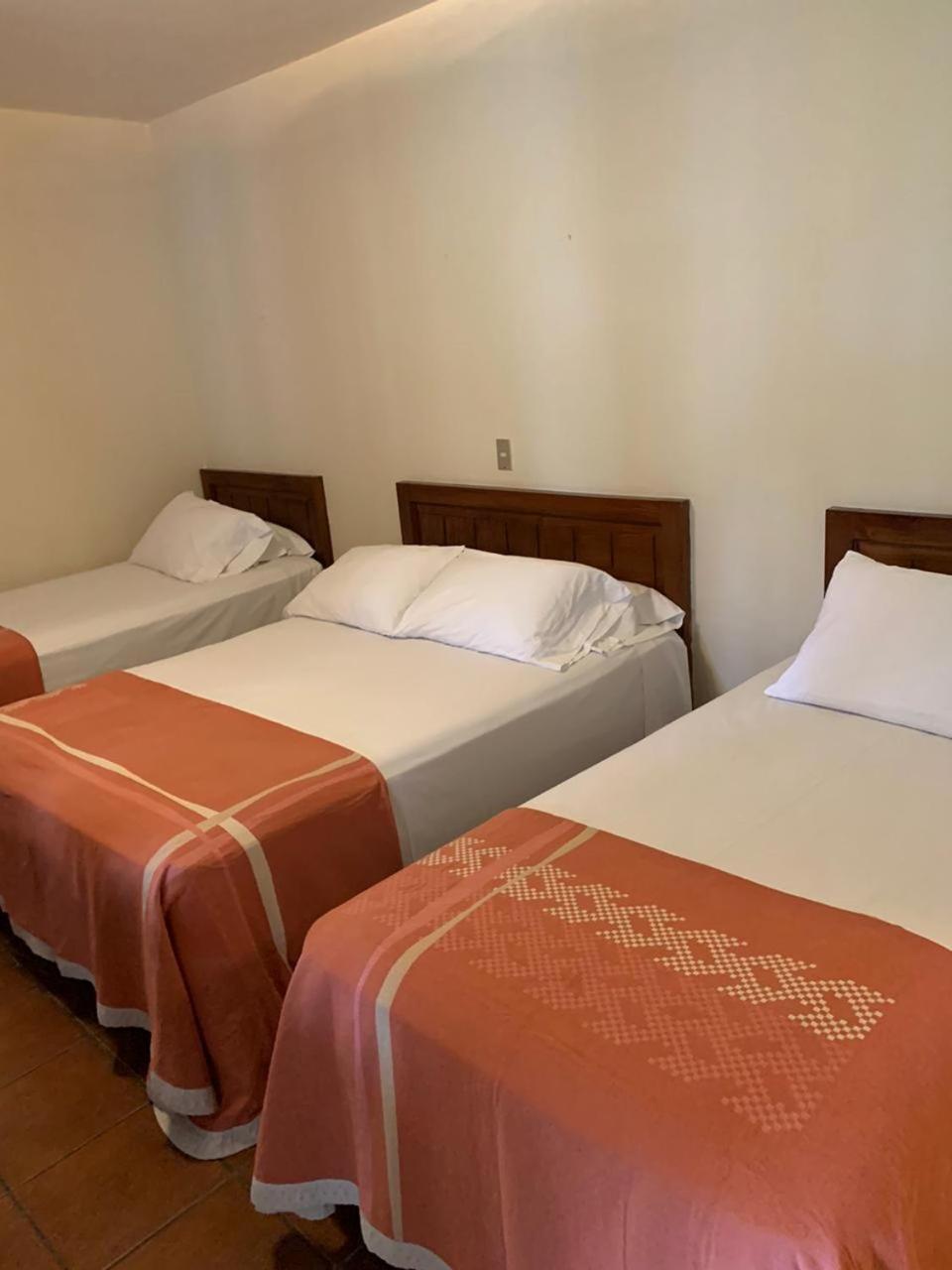 Triple Room photo 2