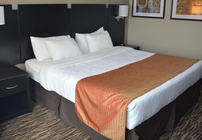 Deluxe Single Room photo 2