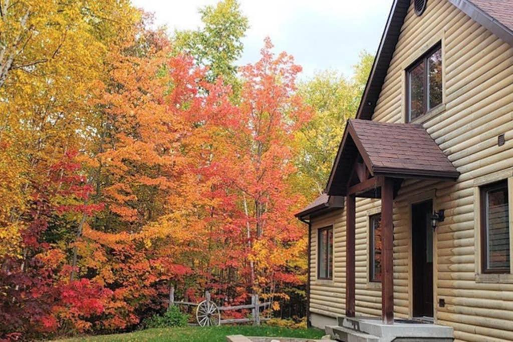 Chalet photo 3