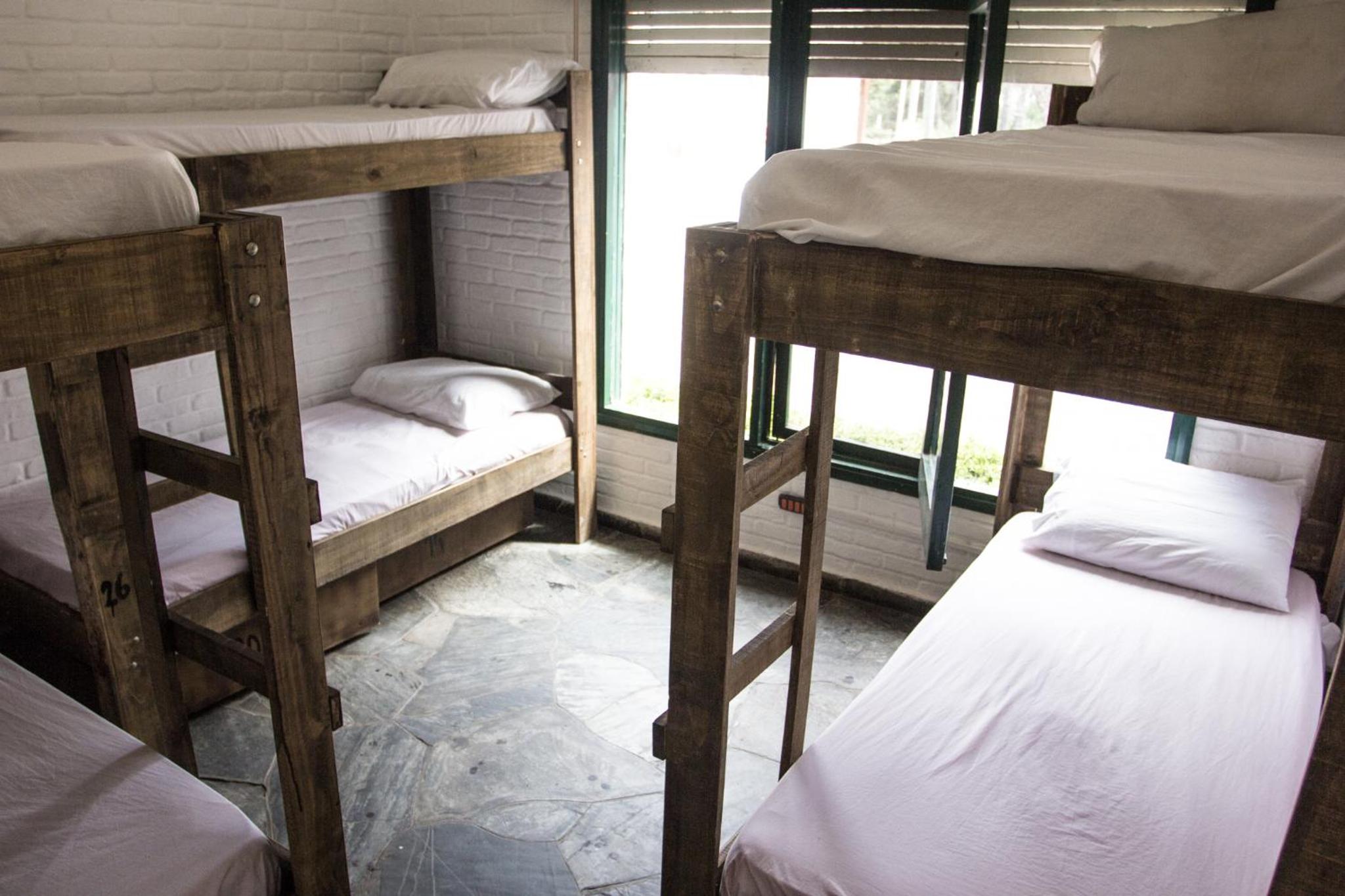 Bed in 6-Bed Female Dormitory Room photo 3