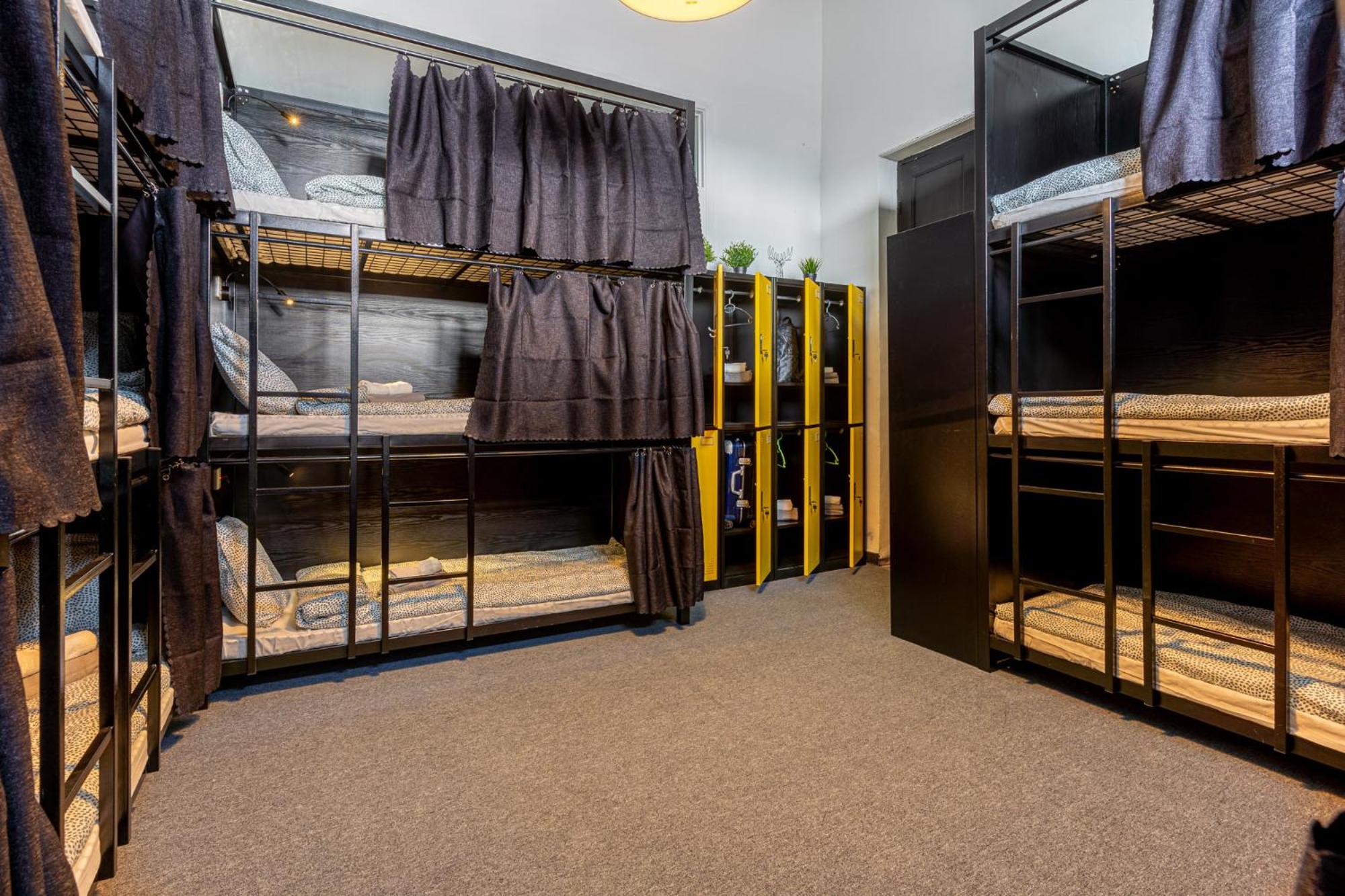 Single Bed in Mixed Dormitory Room photo 3