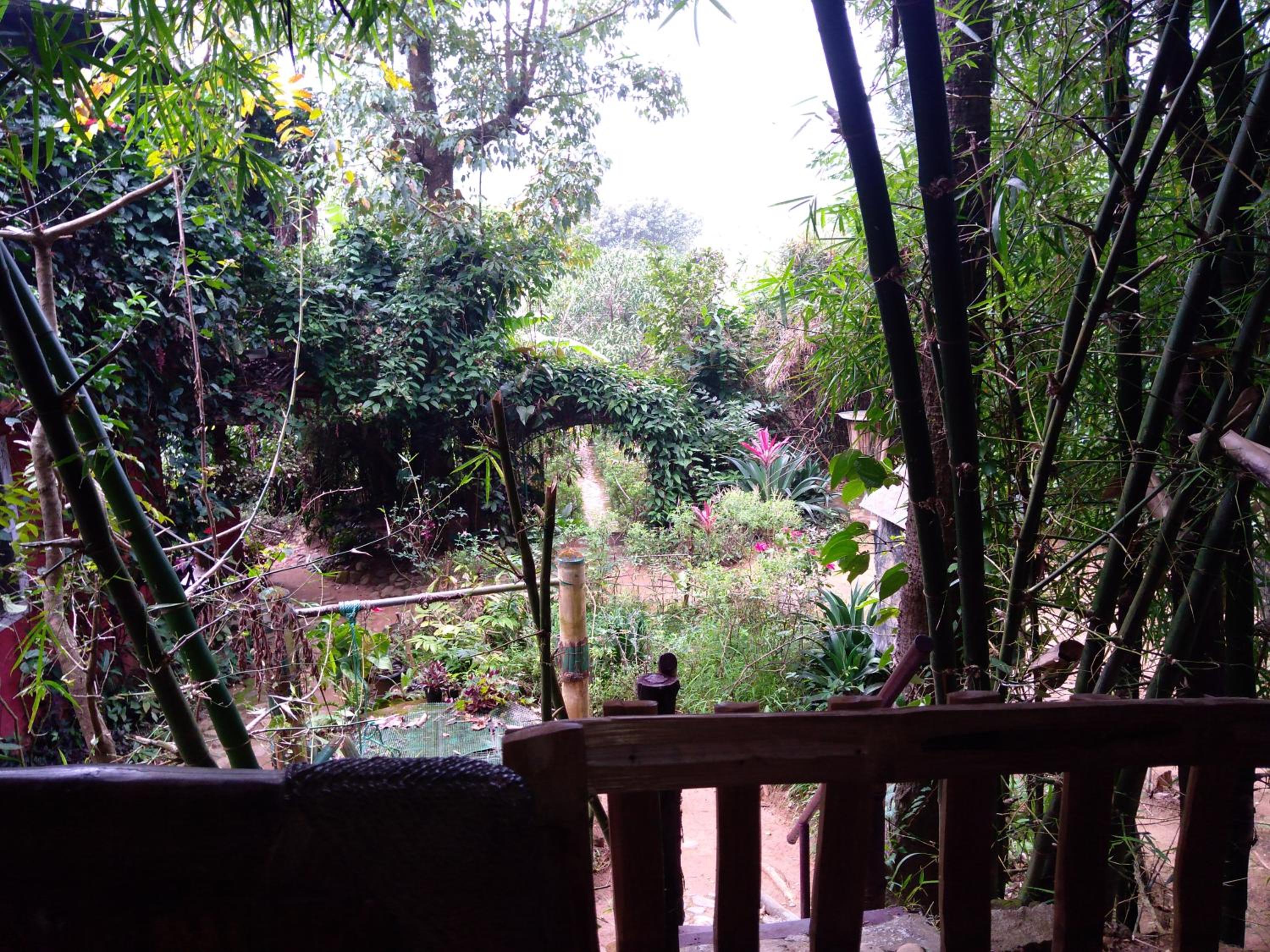 Cottage with Garden View - Photo 4