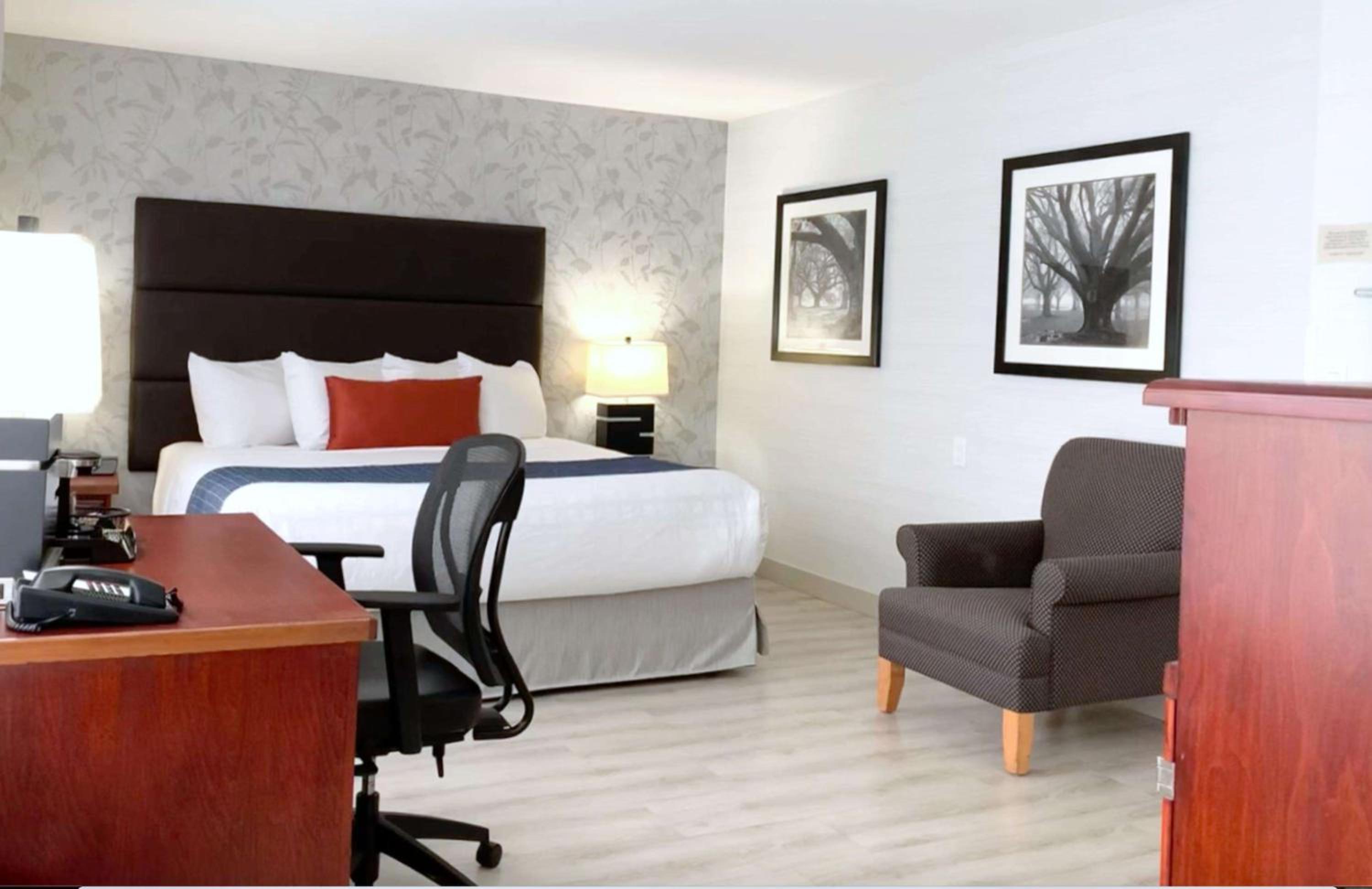 King Room - Non-Smoking - Photo 2