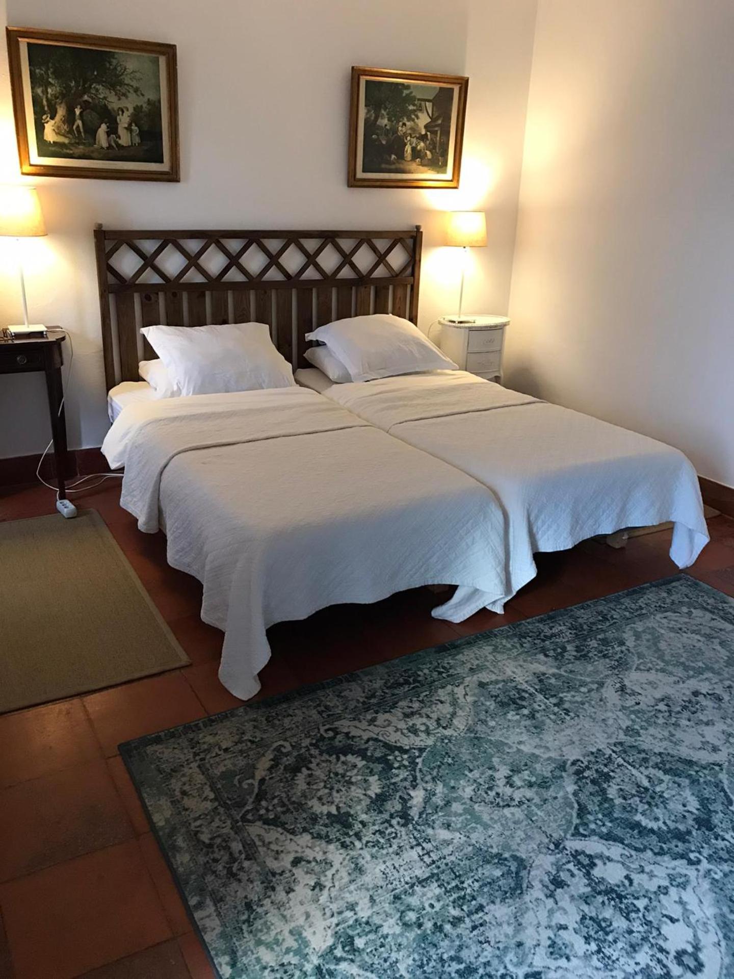 Superior Double or Twin Room with Garden View photo 2