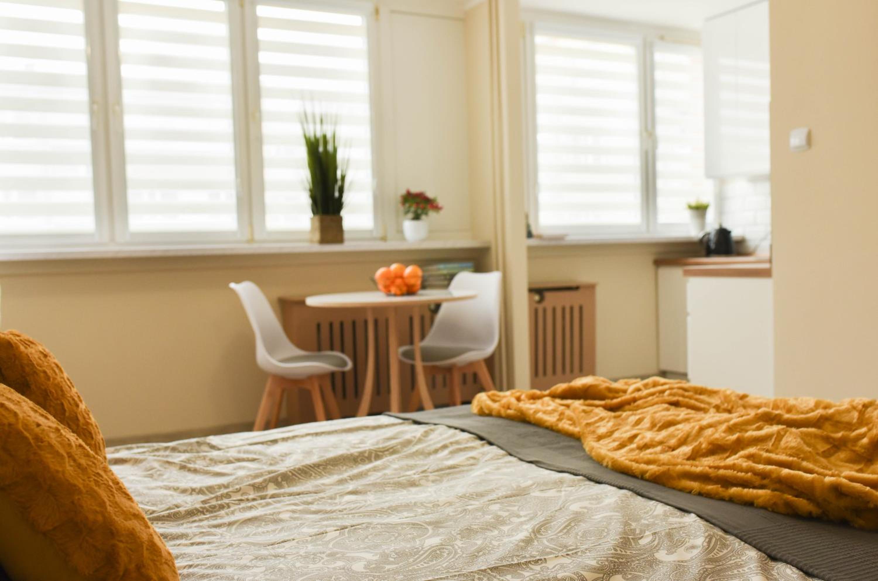 One-Bedroom Apartment - Photo 12