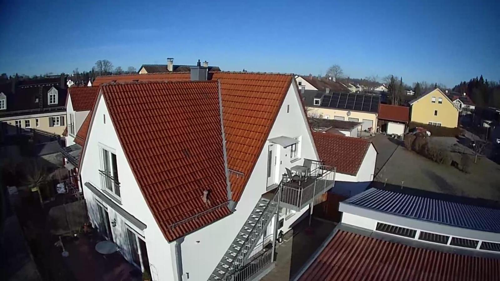 Apartment with Balcony photo 2