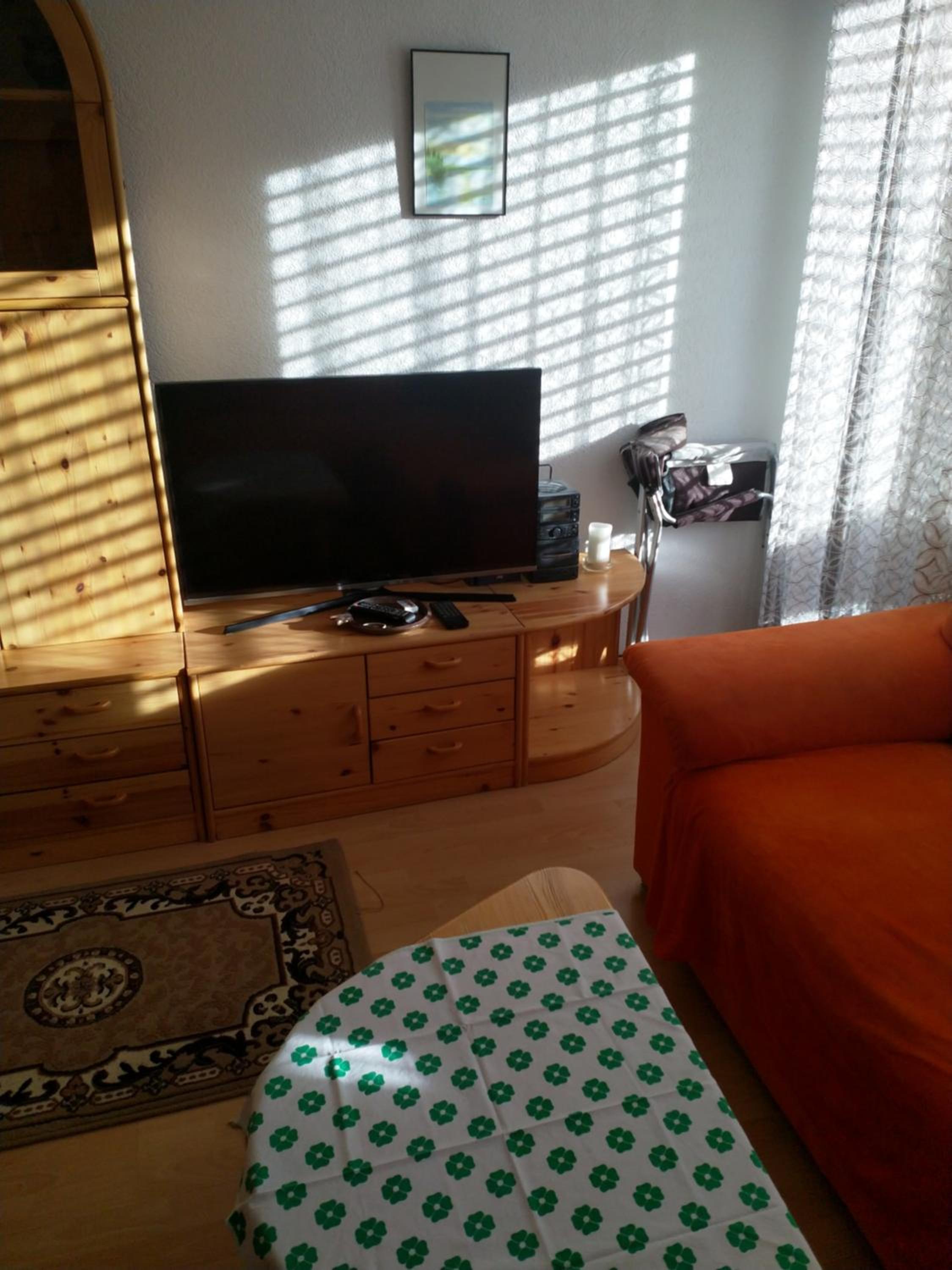 Apartment with Mountain View photo 2