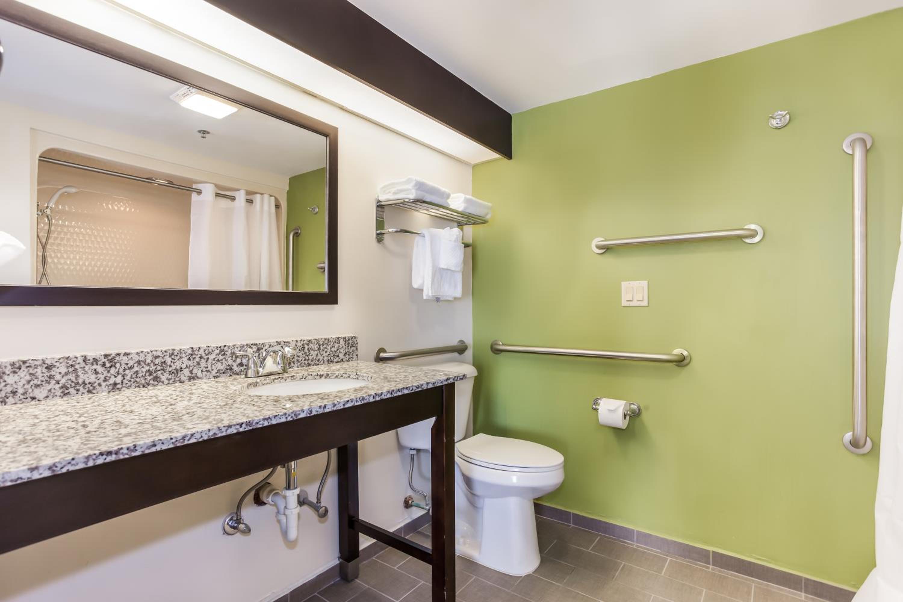 King Suite with Roll-in-Shower - Accessible/Non-Smoking - Photo 2