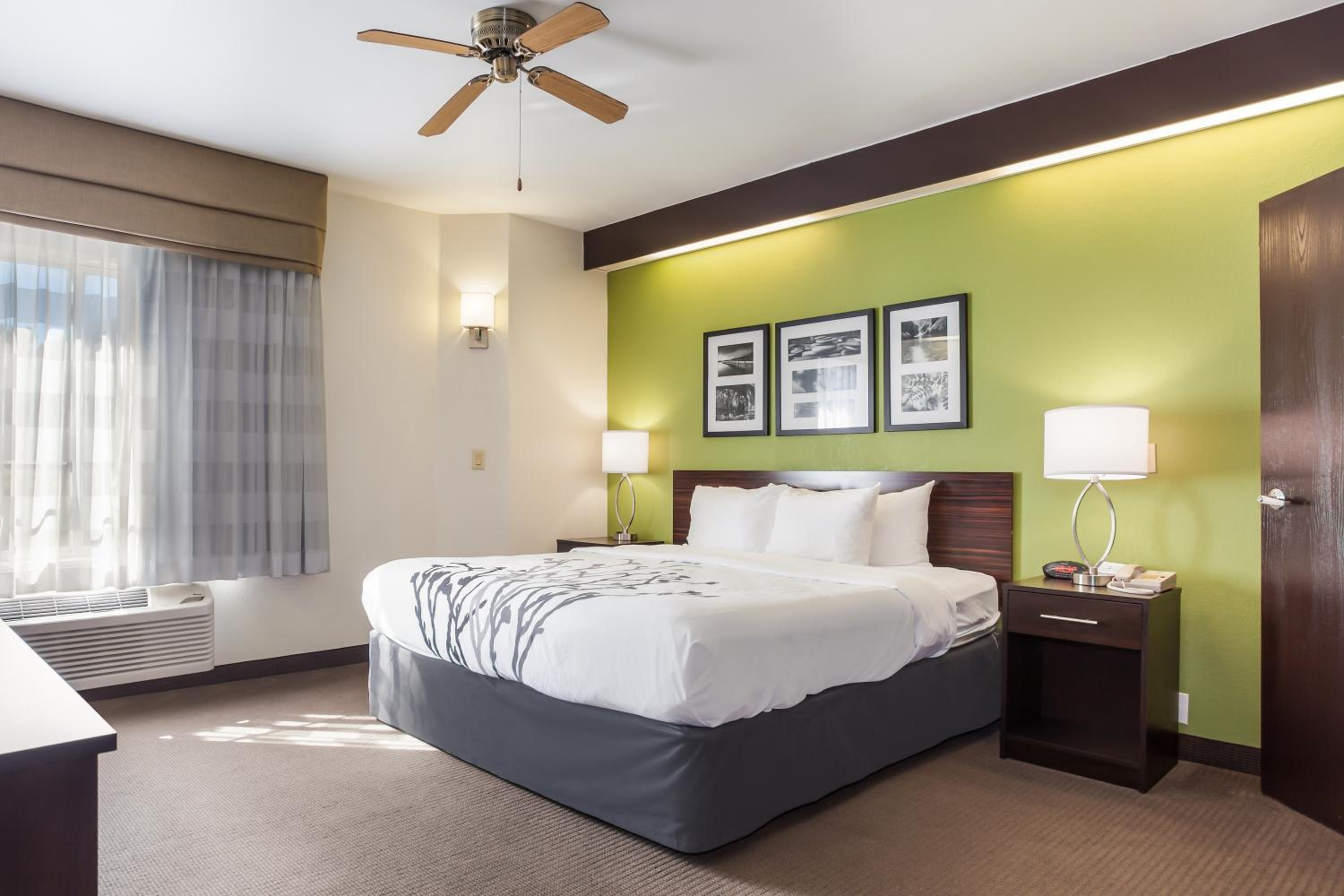 King Room - Non-Smoking - Photo 1