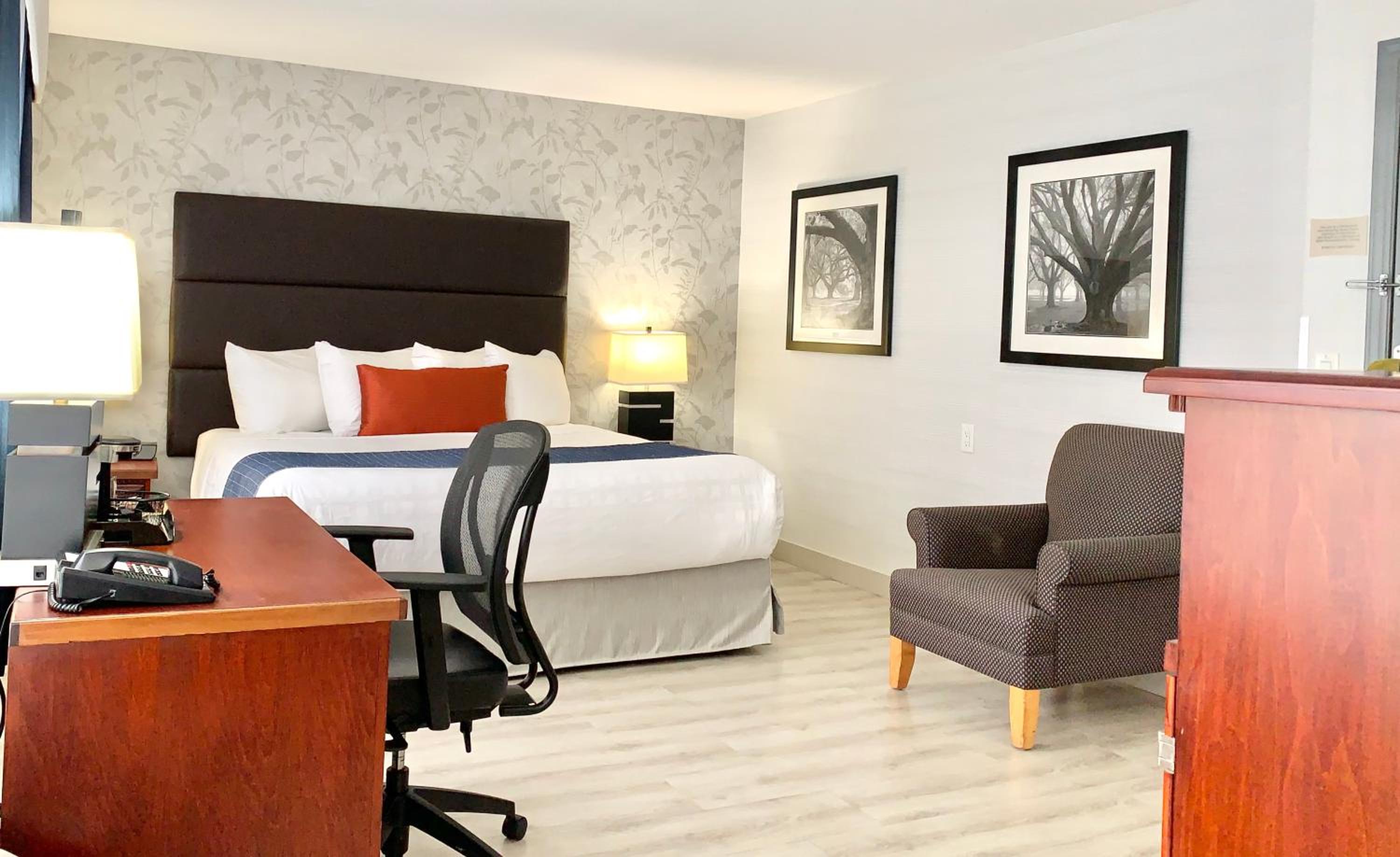 King Room - Non-Smoking - Photo 4