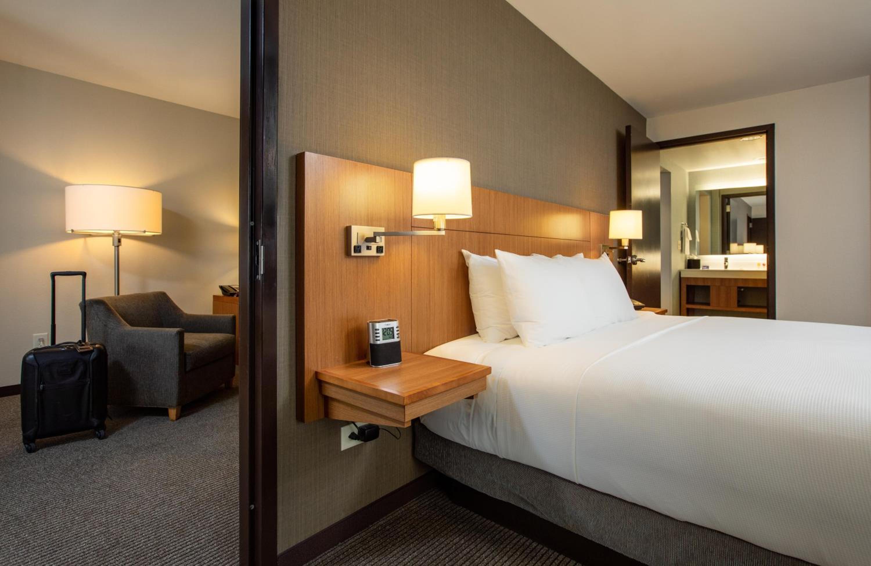 One-Bedroom King Suite with Sofa Bed