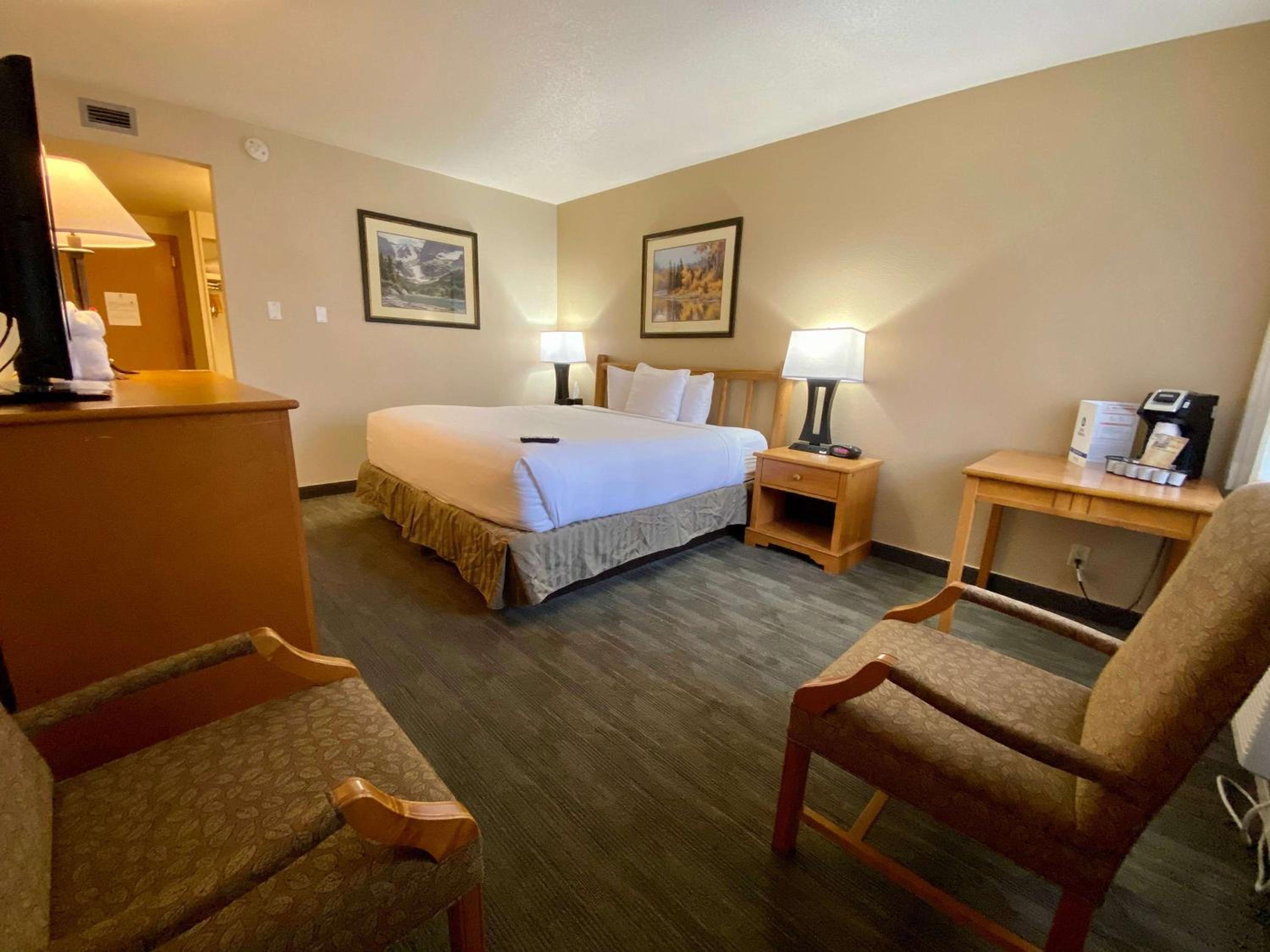 King Room - Pet Friendly - Photo 5