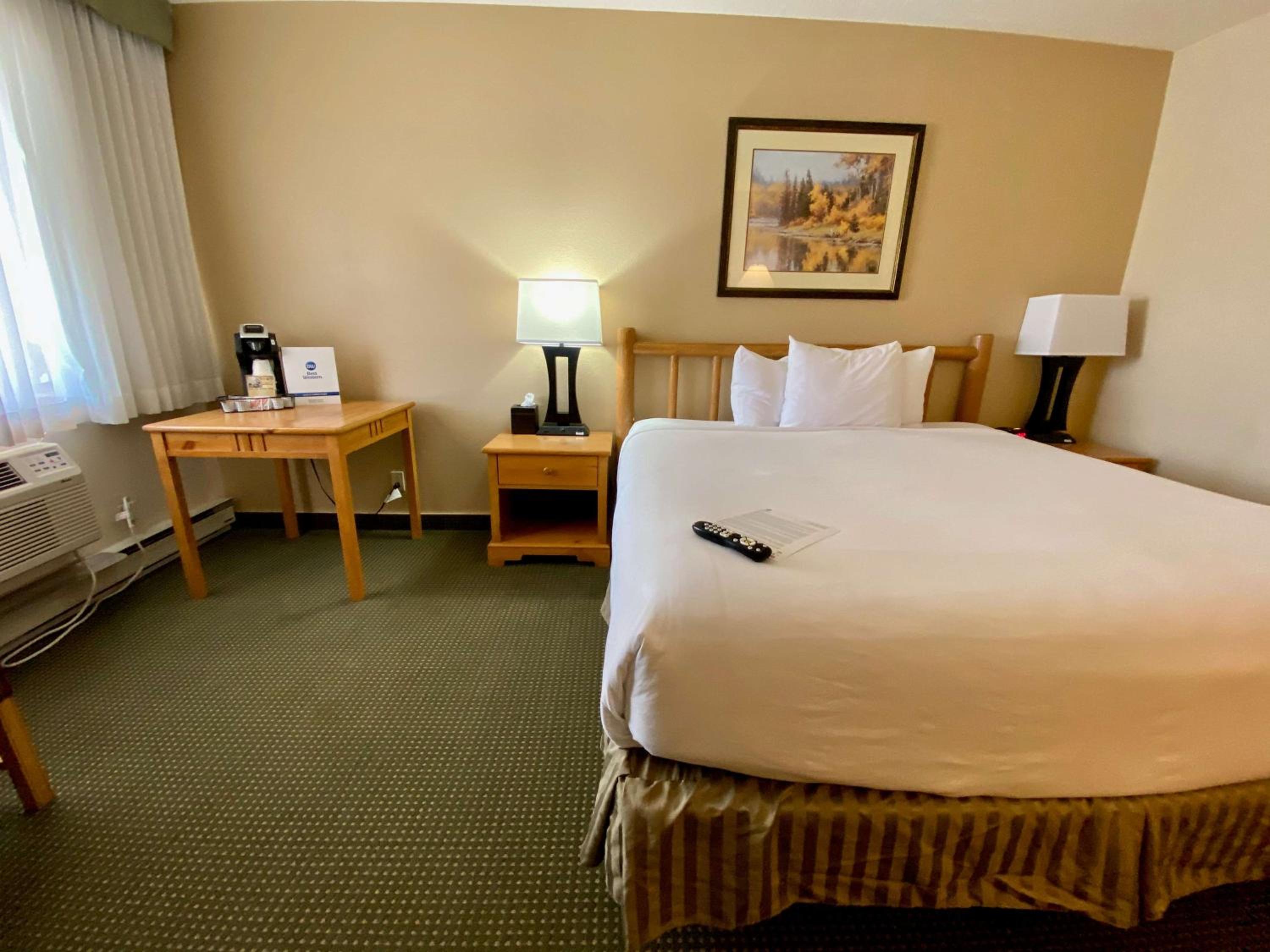 King Room - Pet Friendly - Photo 4