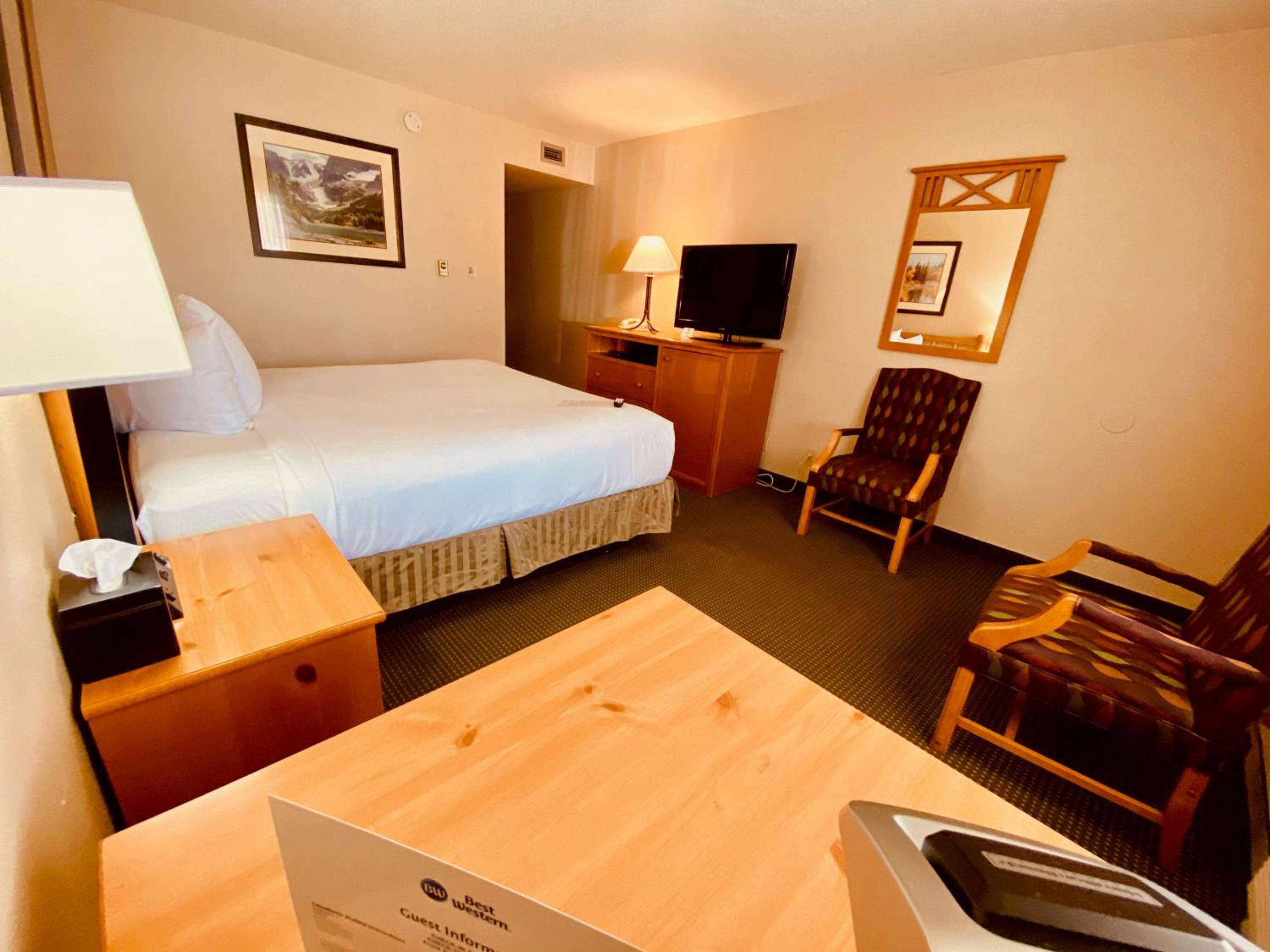 King Room - Pet Friendly - Photo 3