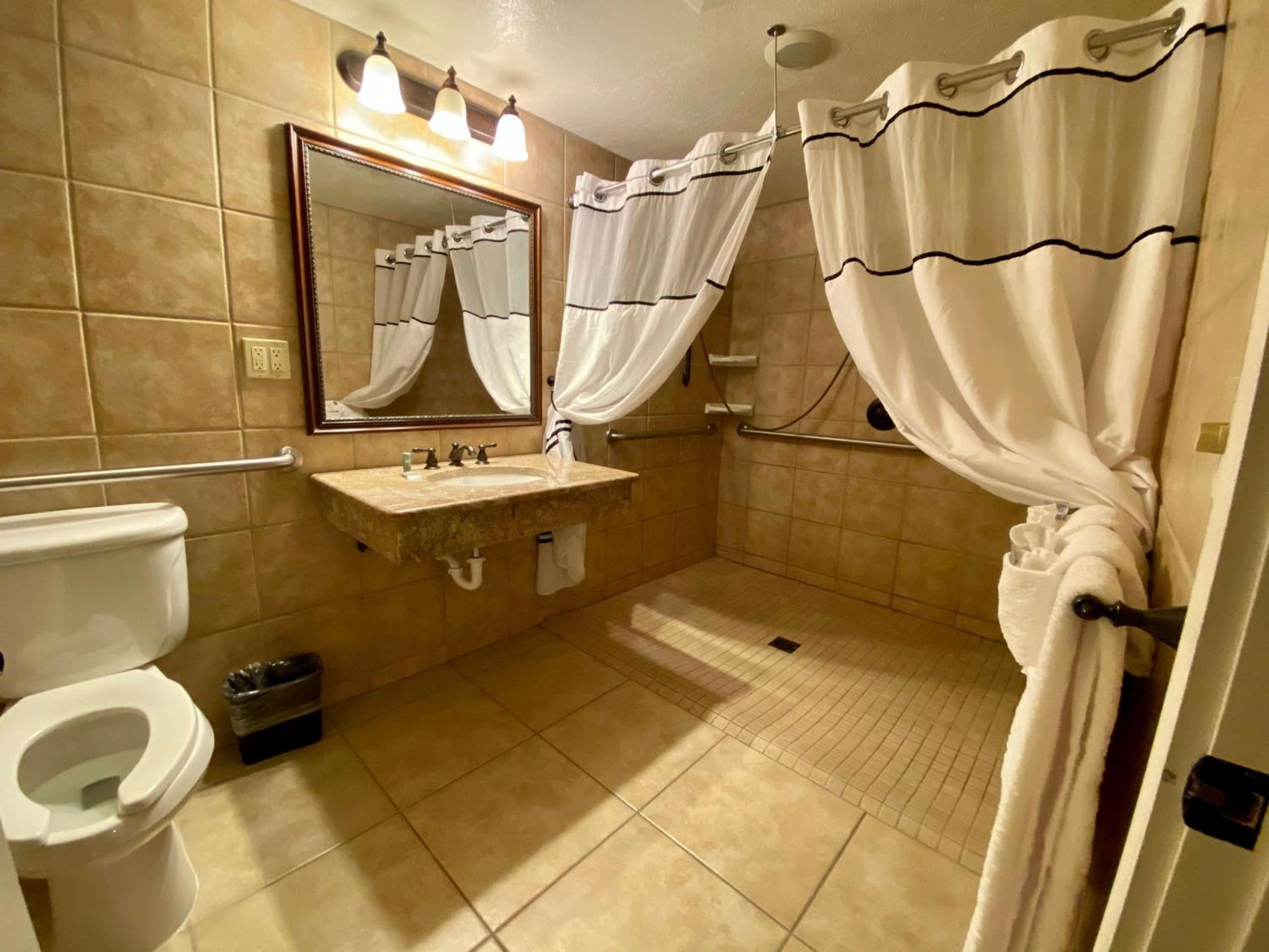 King Room with Roll-in Shower - Disability Access/Non-Smoking - Photo 4