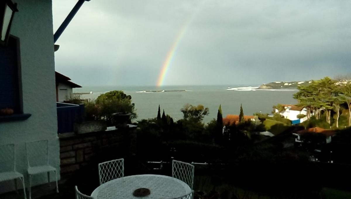 Double Room with Sea View photo 3