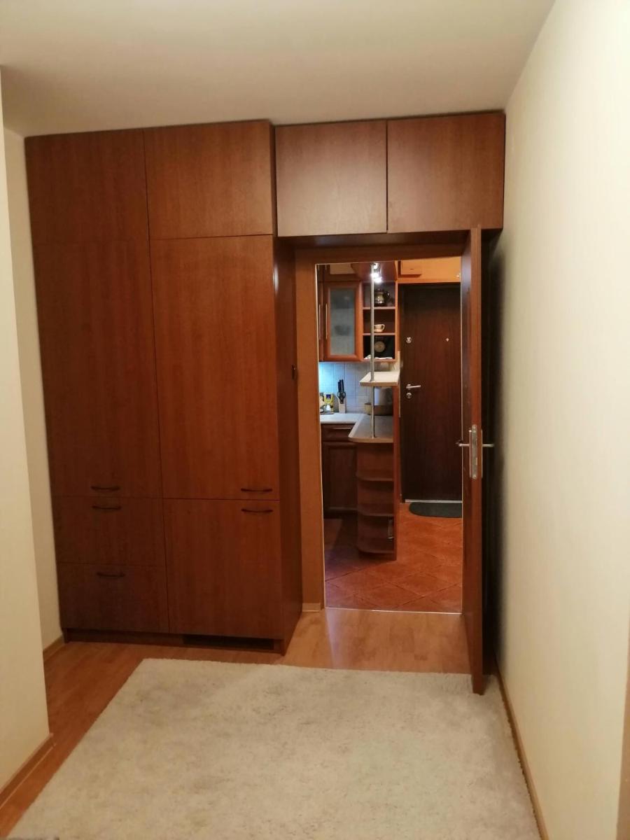 Apartment - Photo 5