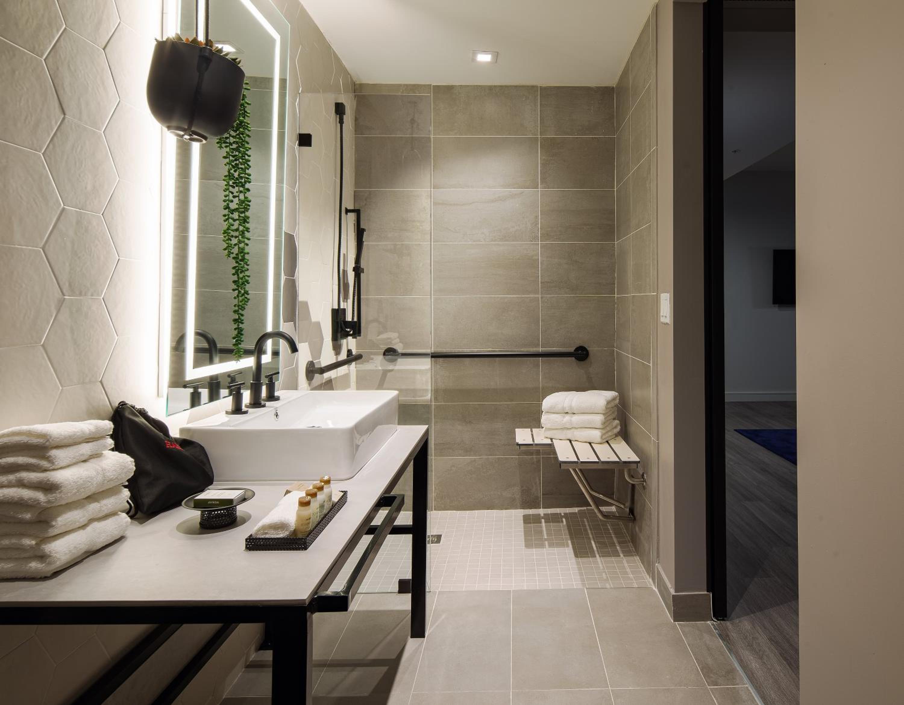 King Suite with Mobility Accessible Roll-In Shower photo 3