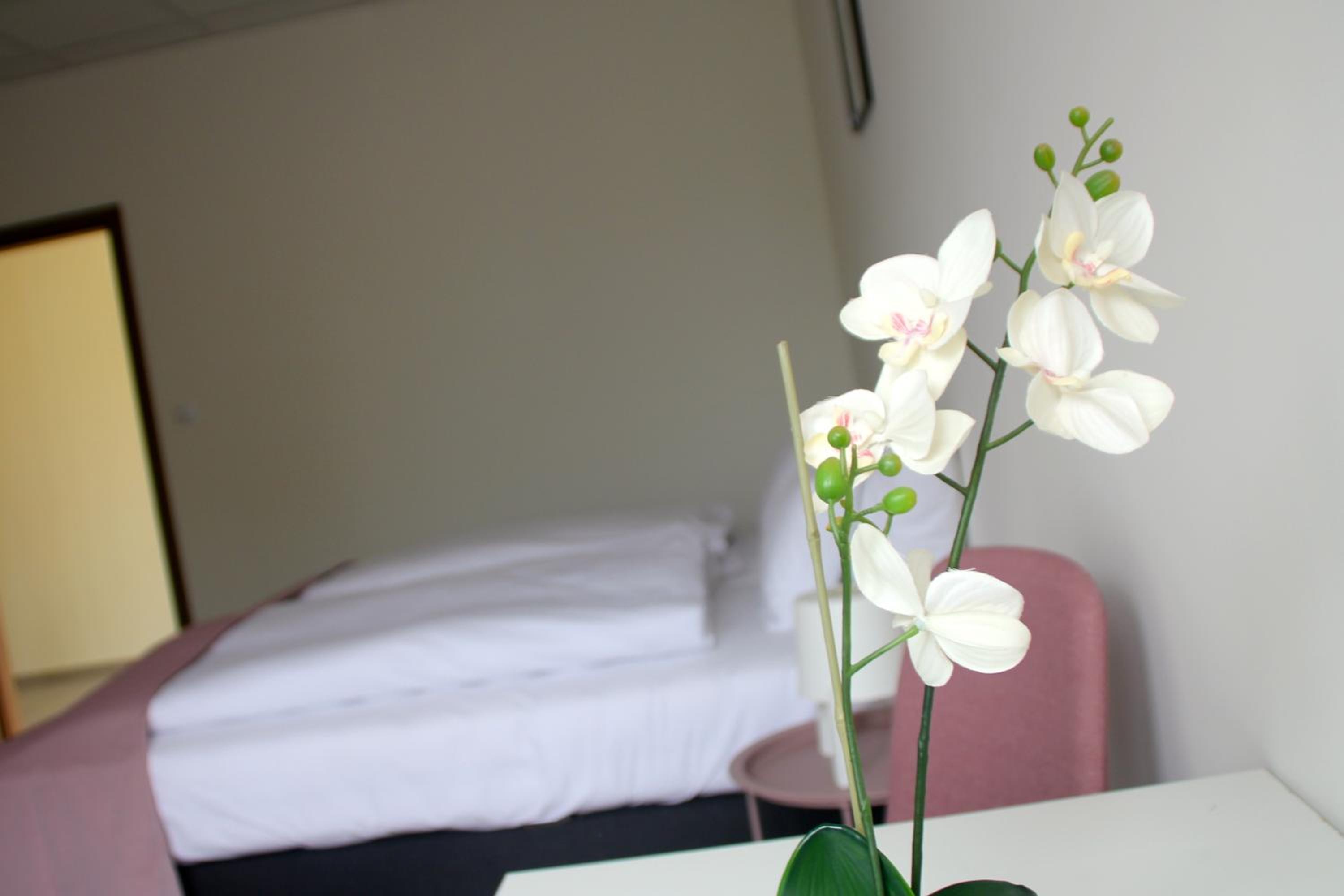 Standard Double or Twin Room - Photo 5