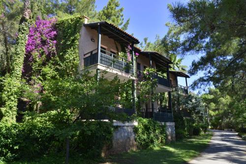 Standard Villa Double or Twin Room with Garden View