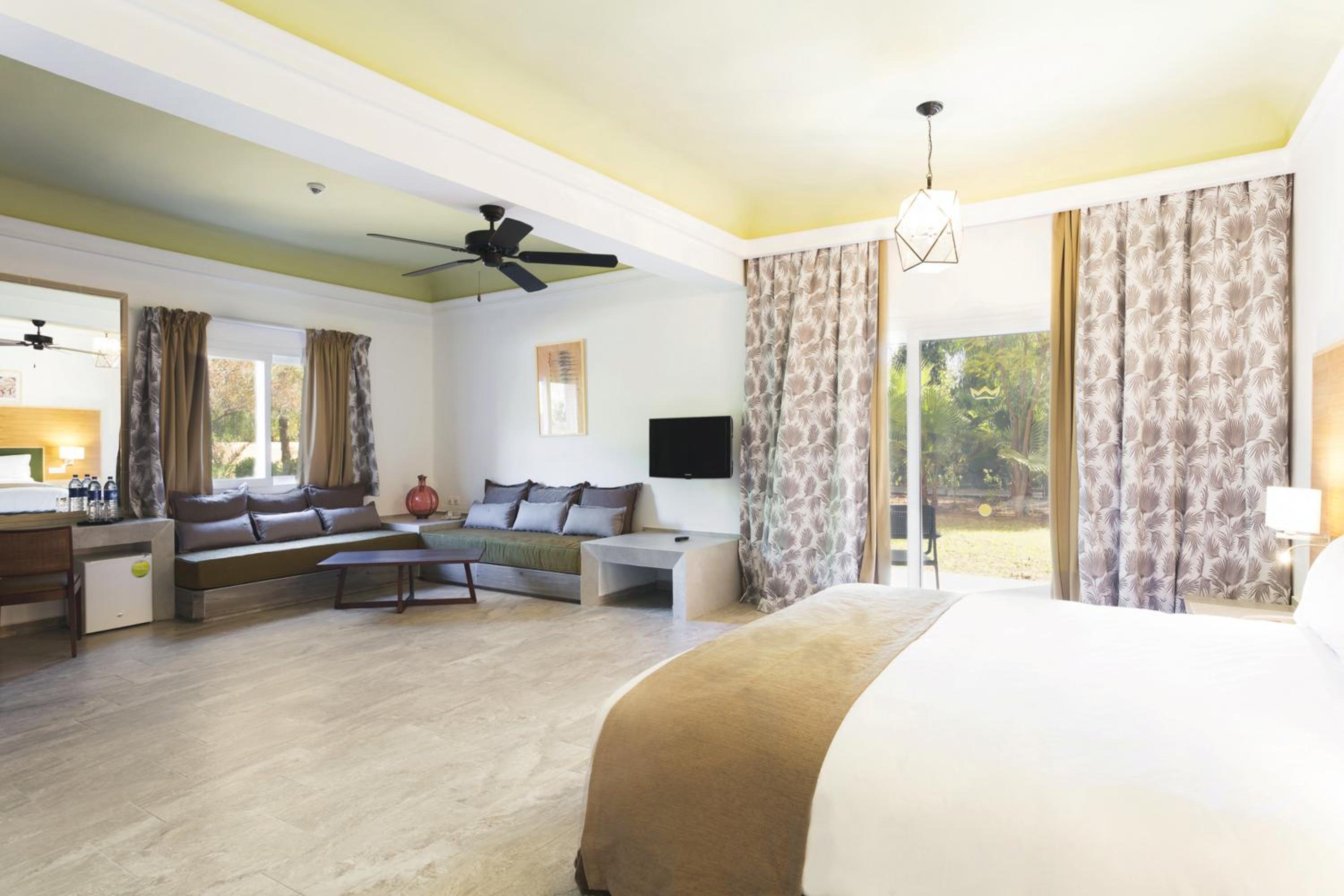 Suite - Photo 1