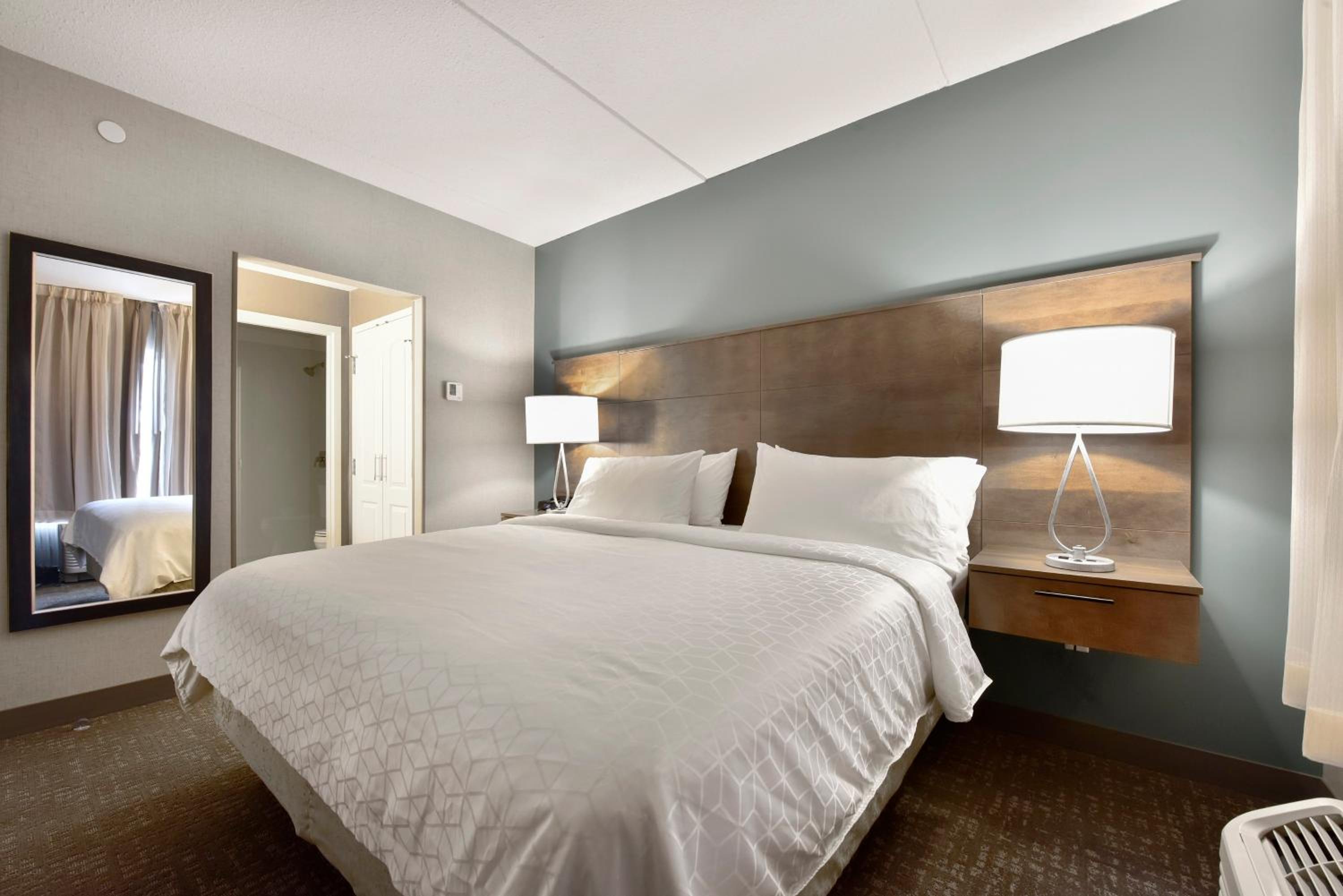 King Studio Suite - Photo 8